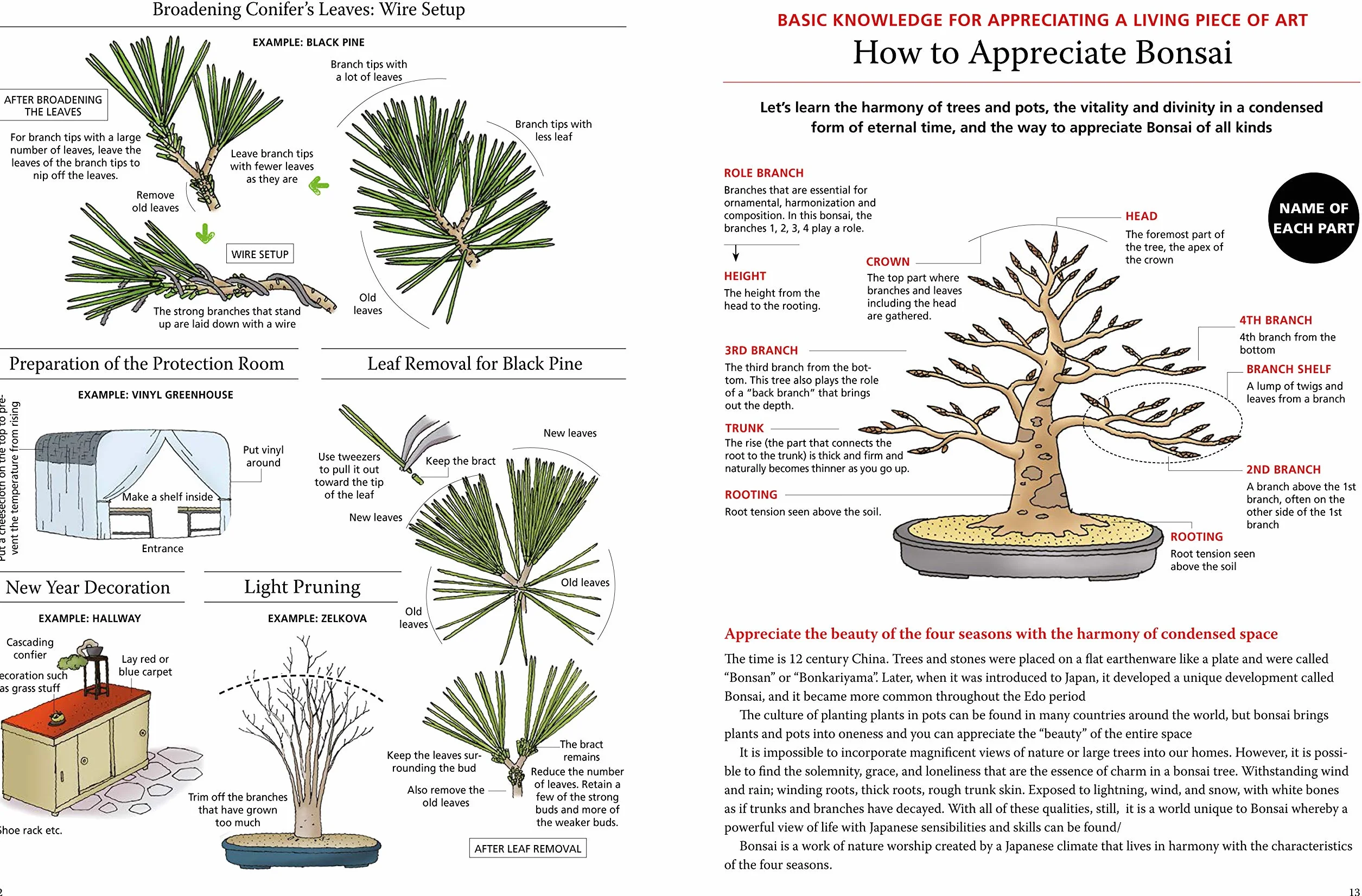 Introduction to Bonsai: The Complete Illustrated Guide for Beginners (with Monthly Growth Schedules and Over 2,000 Illustrations)