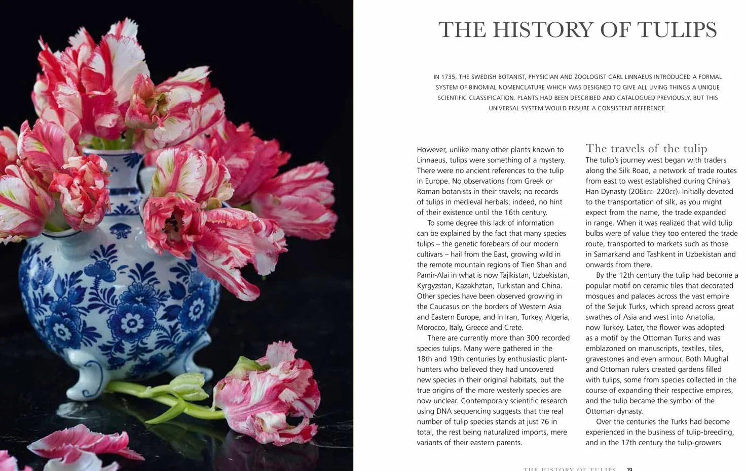 Tulips: The ultimate guide for growing and cutting flower varieties for the home and garden