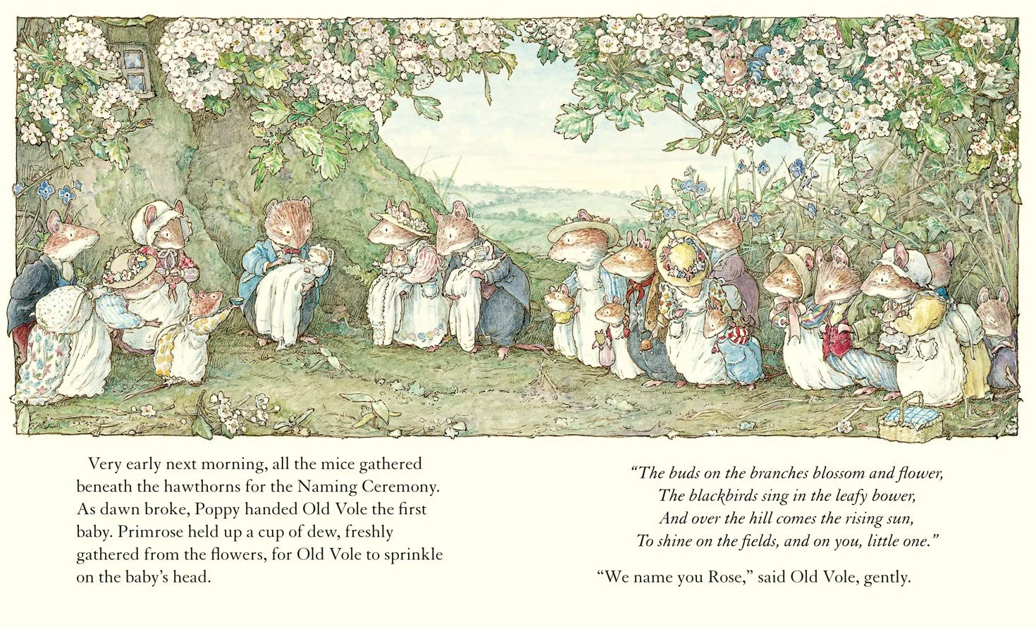Adventures in Brambly Hedge: The gorgeously illustrated children’s classics delighting kids and parents for over 40 years!