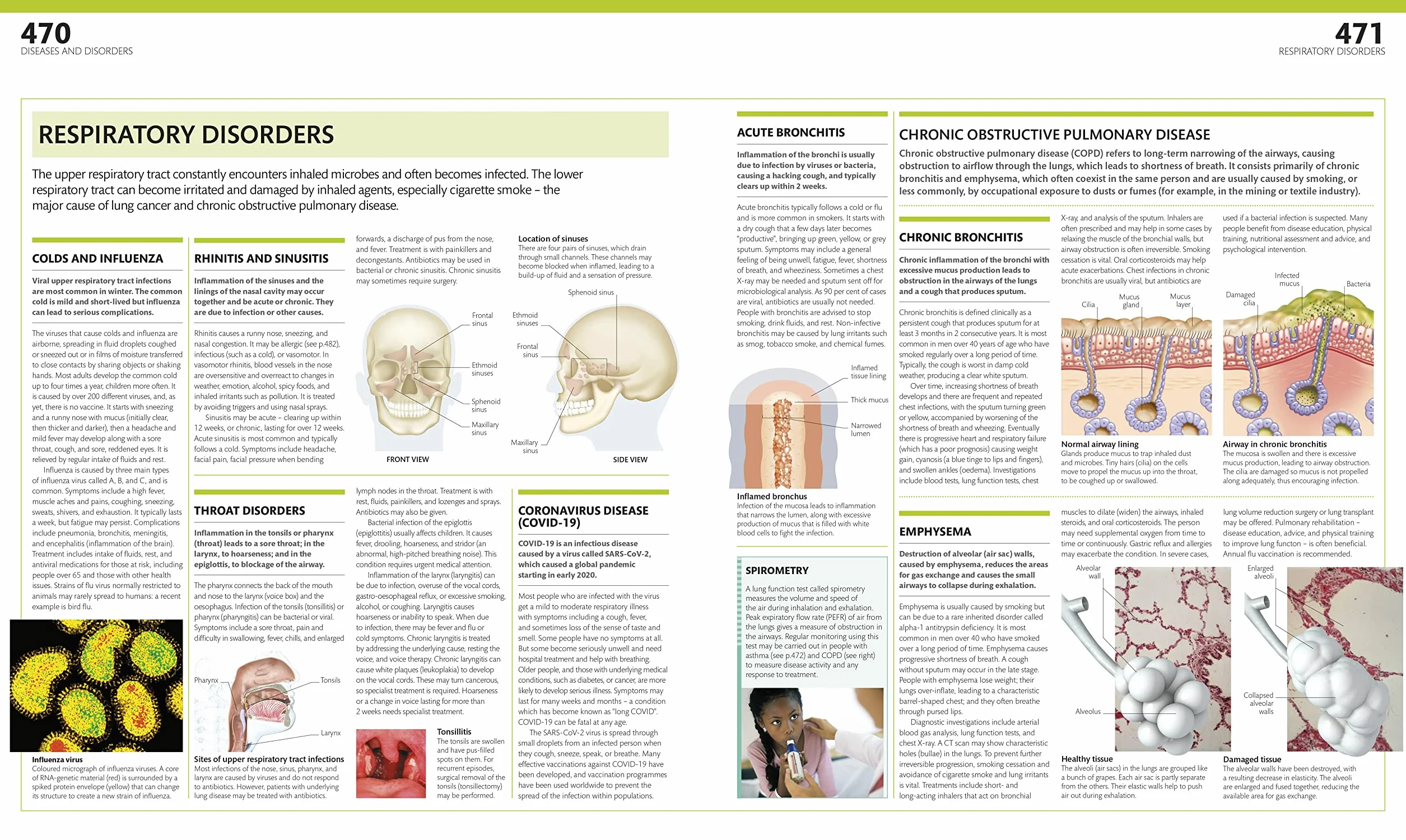 The Complete Human Body: The Definitive Visual Guide