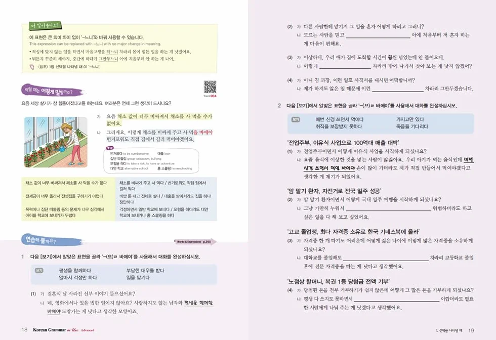 Korean grammar in use : advanced: MP3 AudioFiles