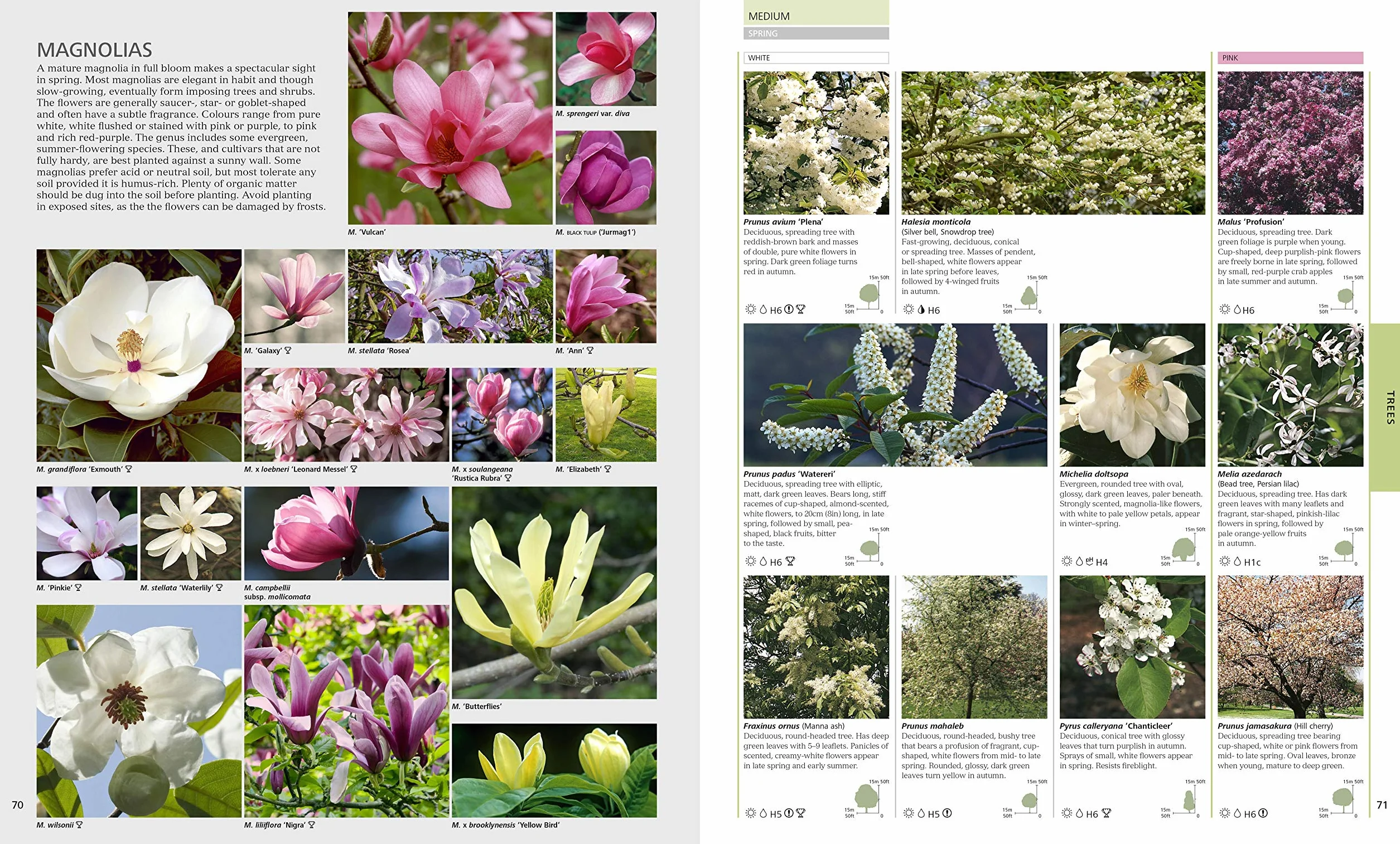RHS Encyclopedia Of Plants and Flowers: 8000 plants with more than 1400 new entries