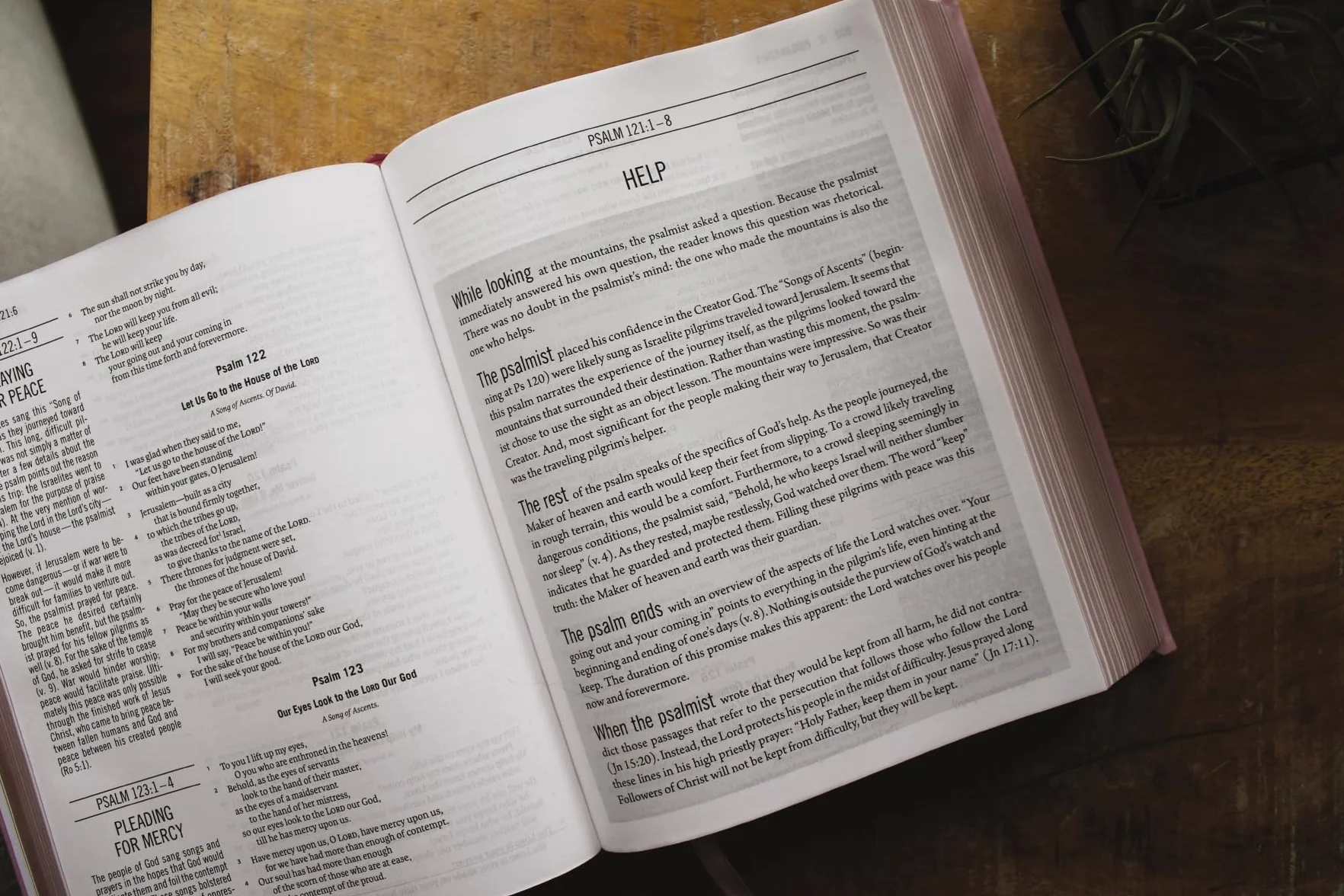 The Jesus Bible, ESV Edition, Leathersoft Over Board, Pink: Sixty-Six Books. One Story. All About One Name.
