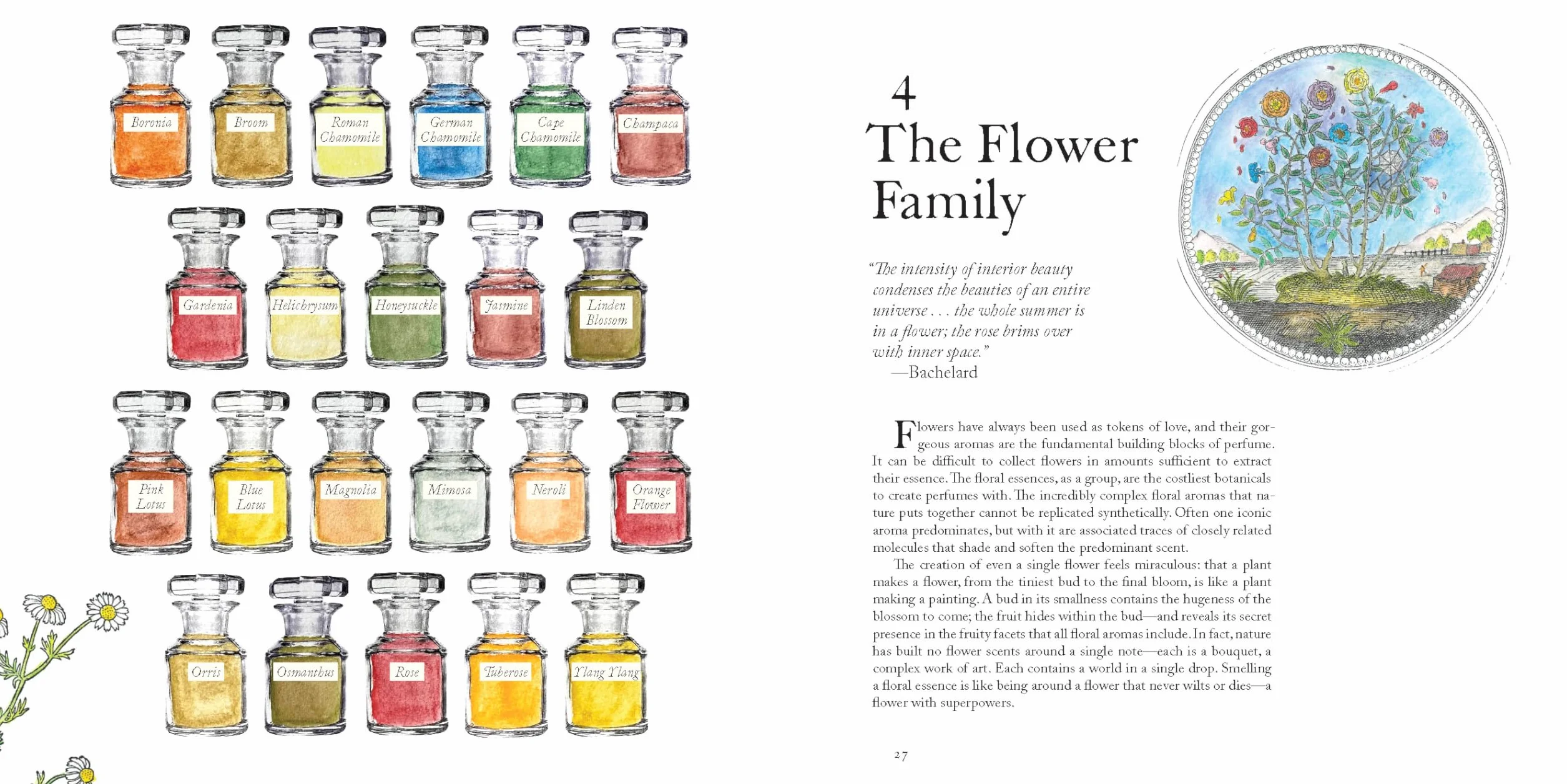 The Museum of Scent Exploring the Curious and Wondrous World of Fragrance /anglais