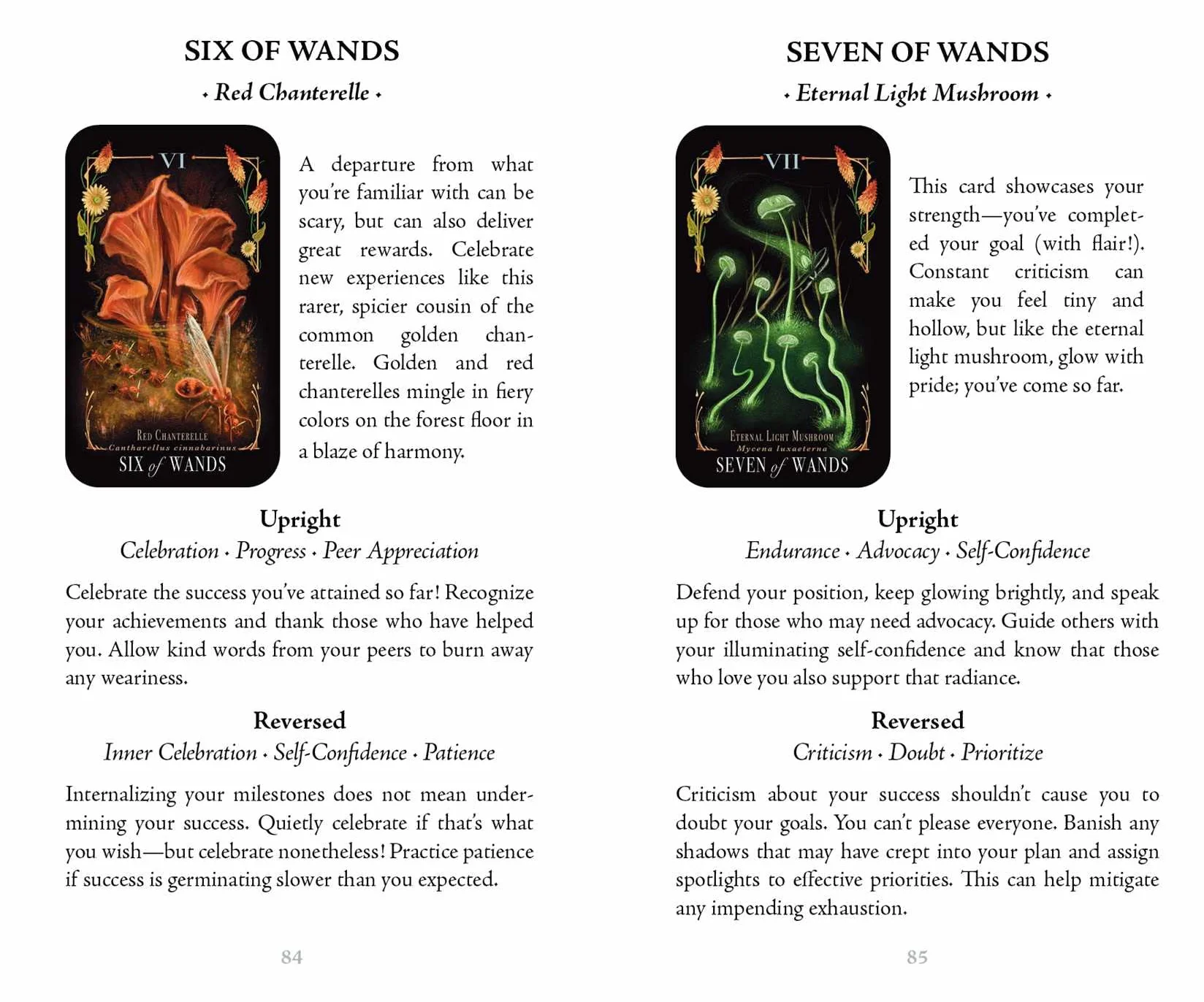 Midnight Magic: A Tarot Deck of Mushrooms