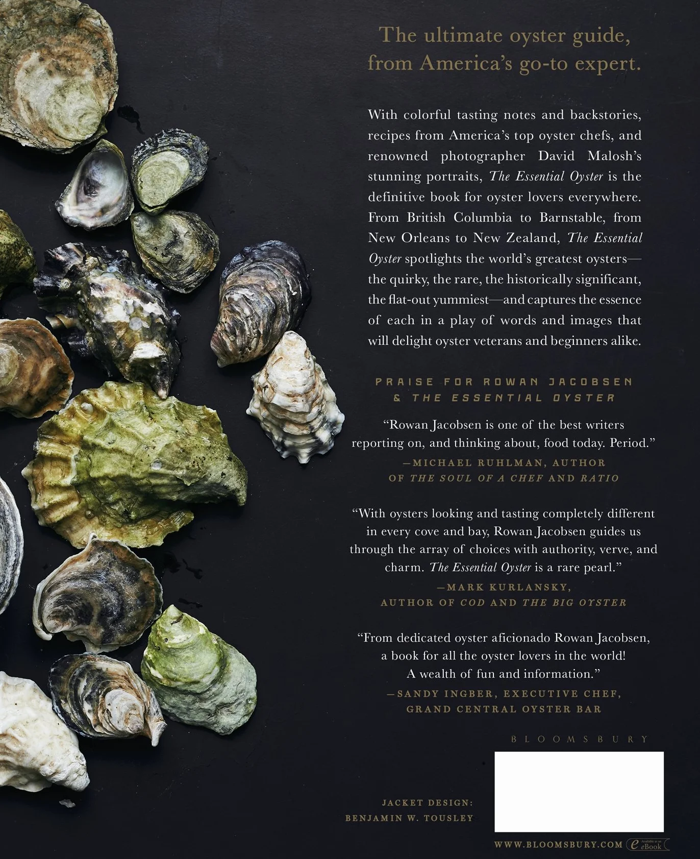 The Essential Oyster: A Salty Appreciation of Taste and Temptation