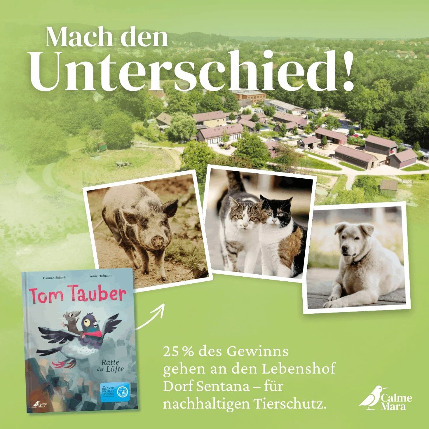 Tom Tauber - Ratte der Lüfte: Bilderbuch für Kinder ab 4 über Stadttauben, Familie und Selbstfindung