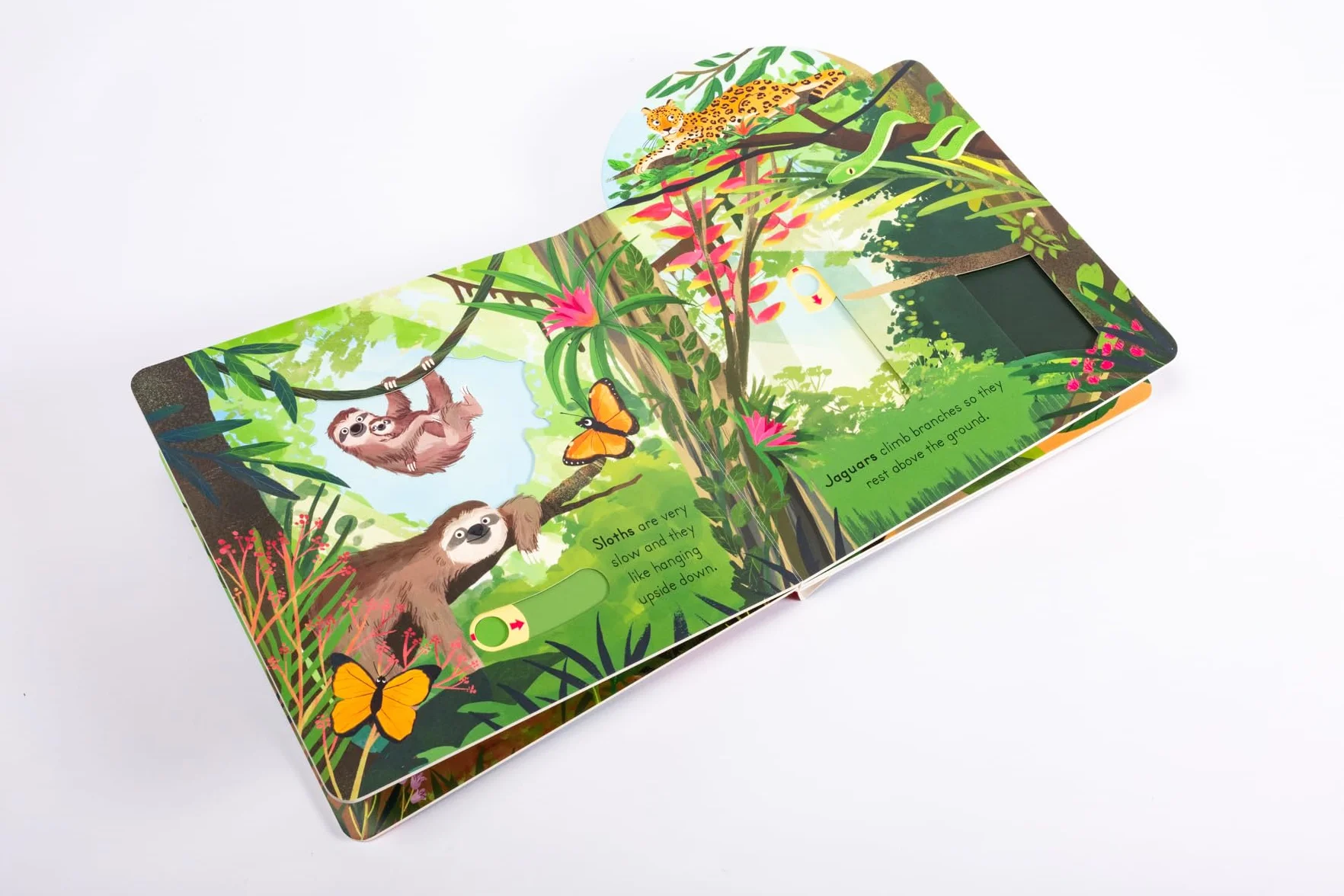 Big Outdoors for Little Explorers: Jungle