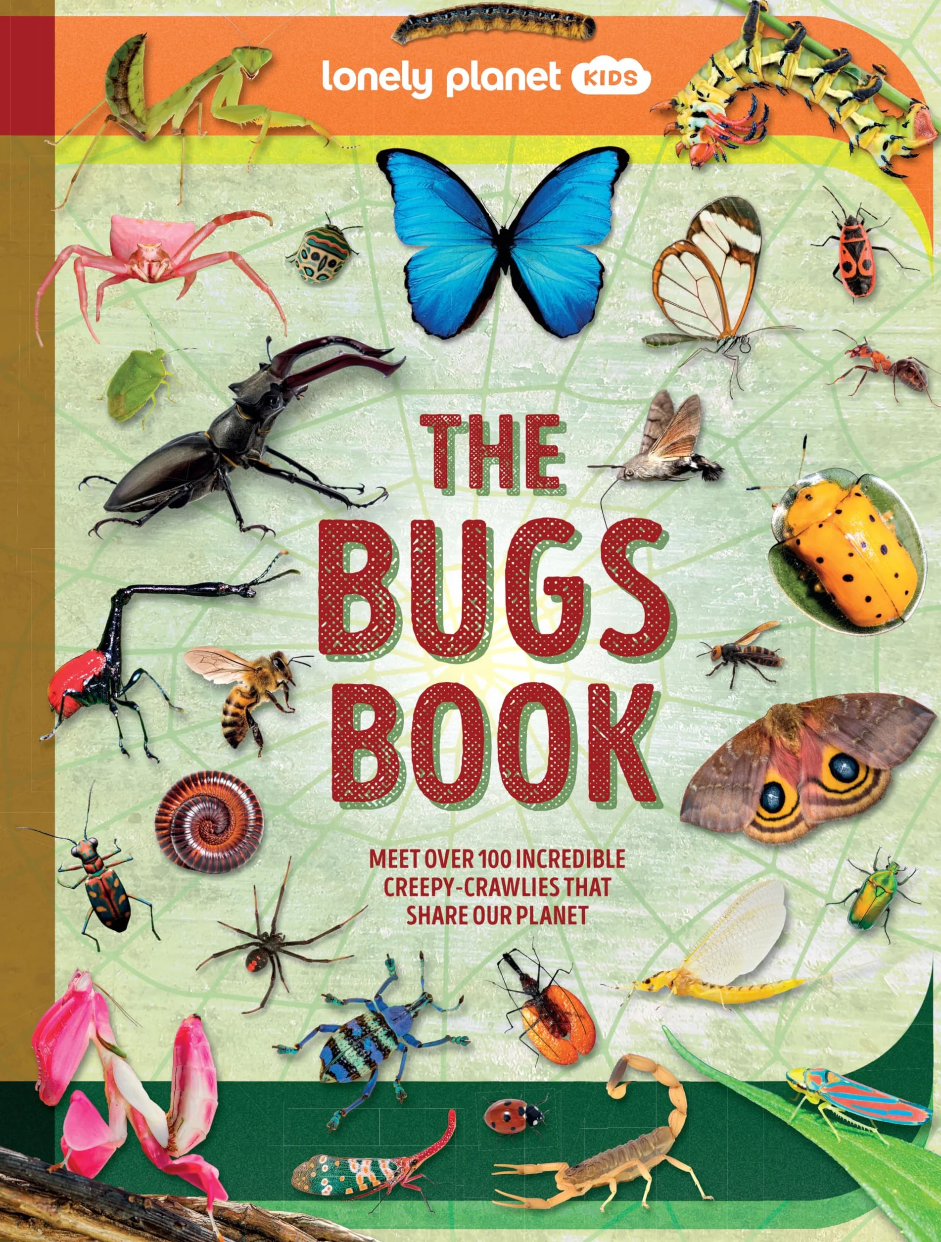 The Bugs Book 1ed -anglais-: Meet Over 100 Incredible Creepy-Crawlies That Share Our Planet