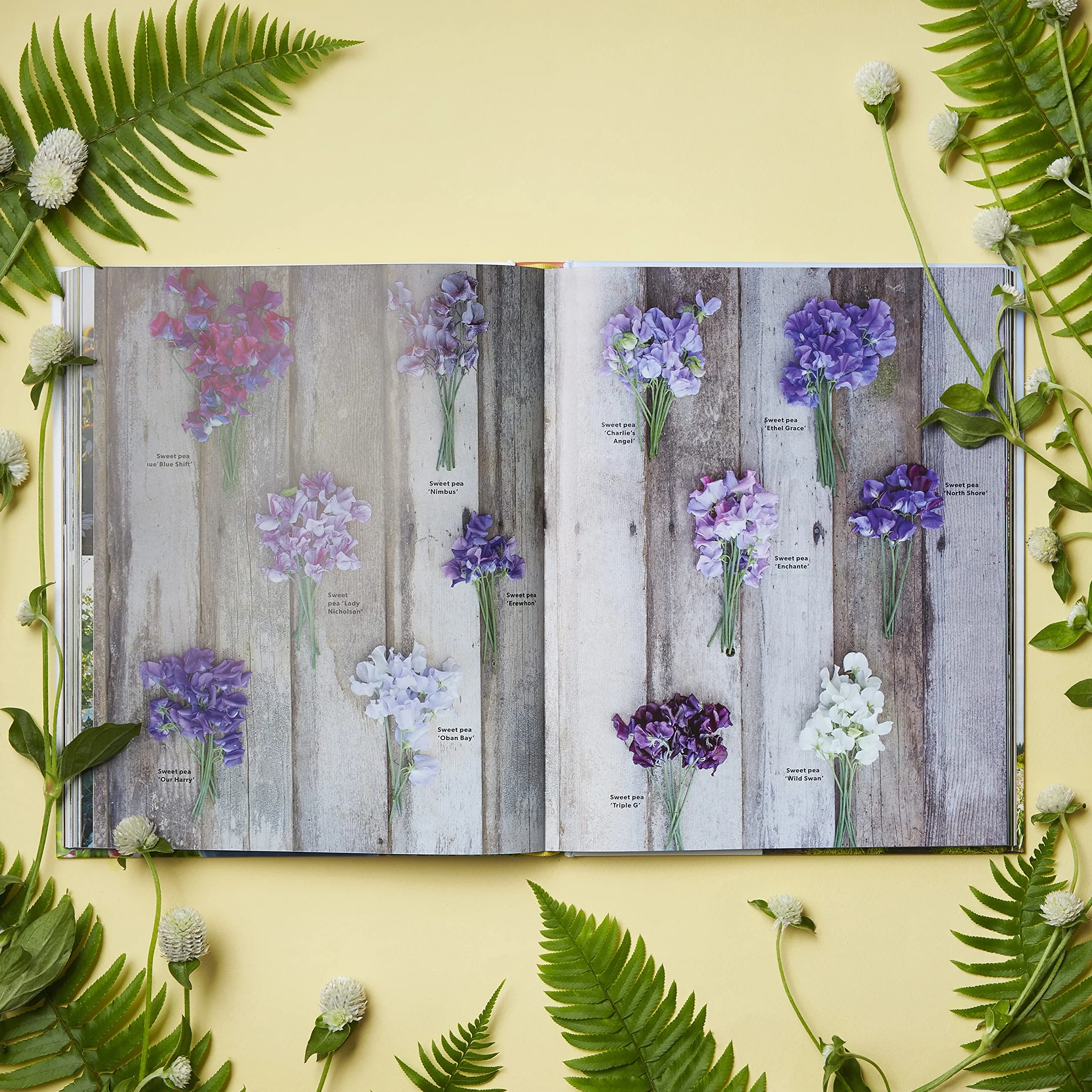 Floret Farm's a Year in Flowers: Designing Gorgeous Arrangements for Every Season
