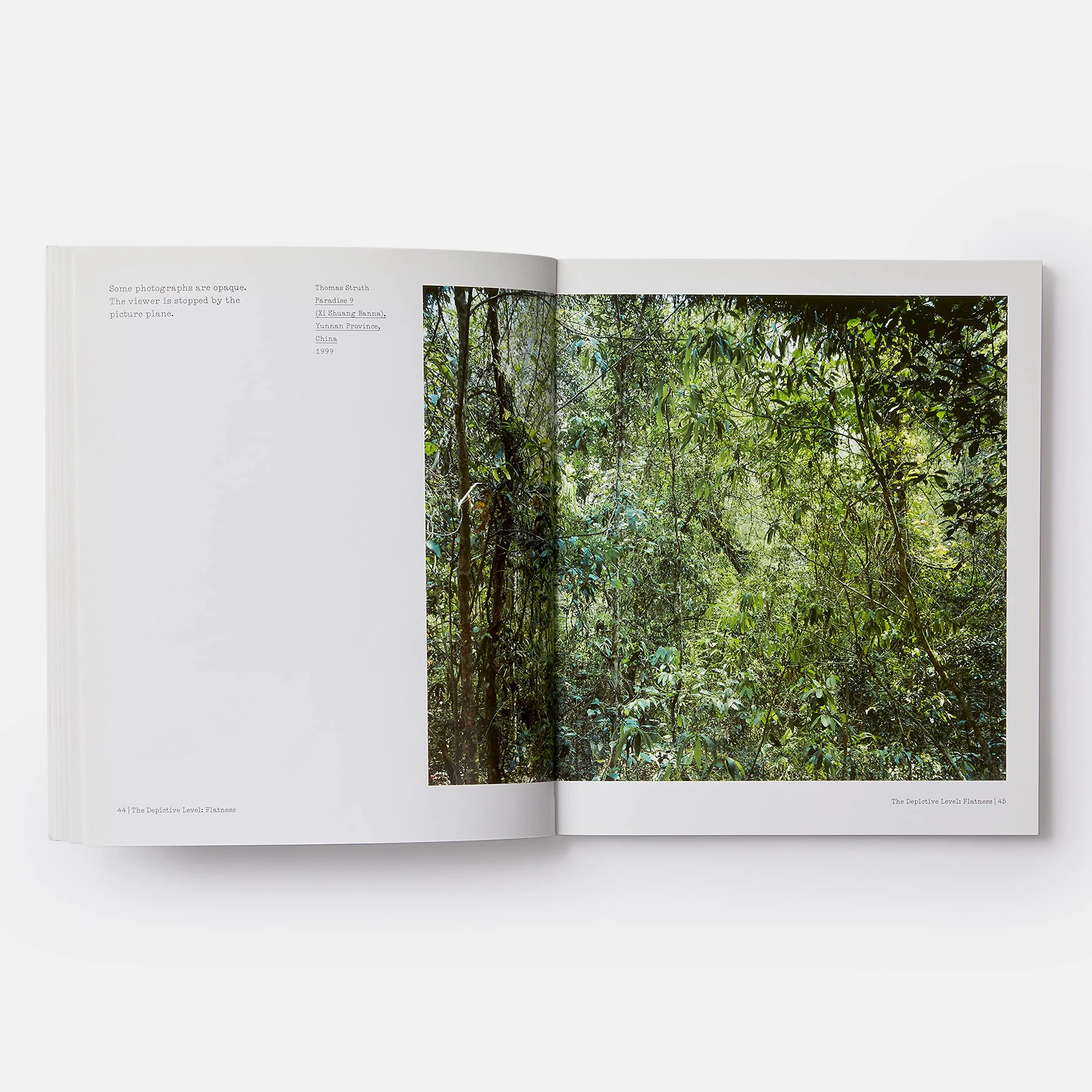 The Nature of Photographs: A Primer: 0000