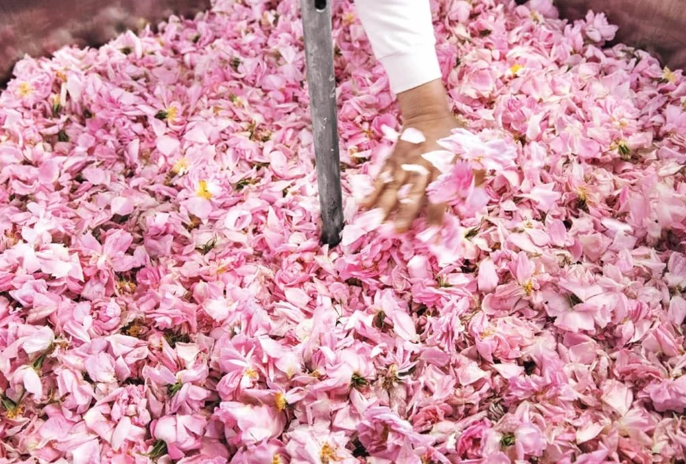 Fragonard: The Perfume of Provence