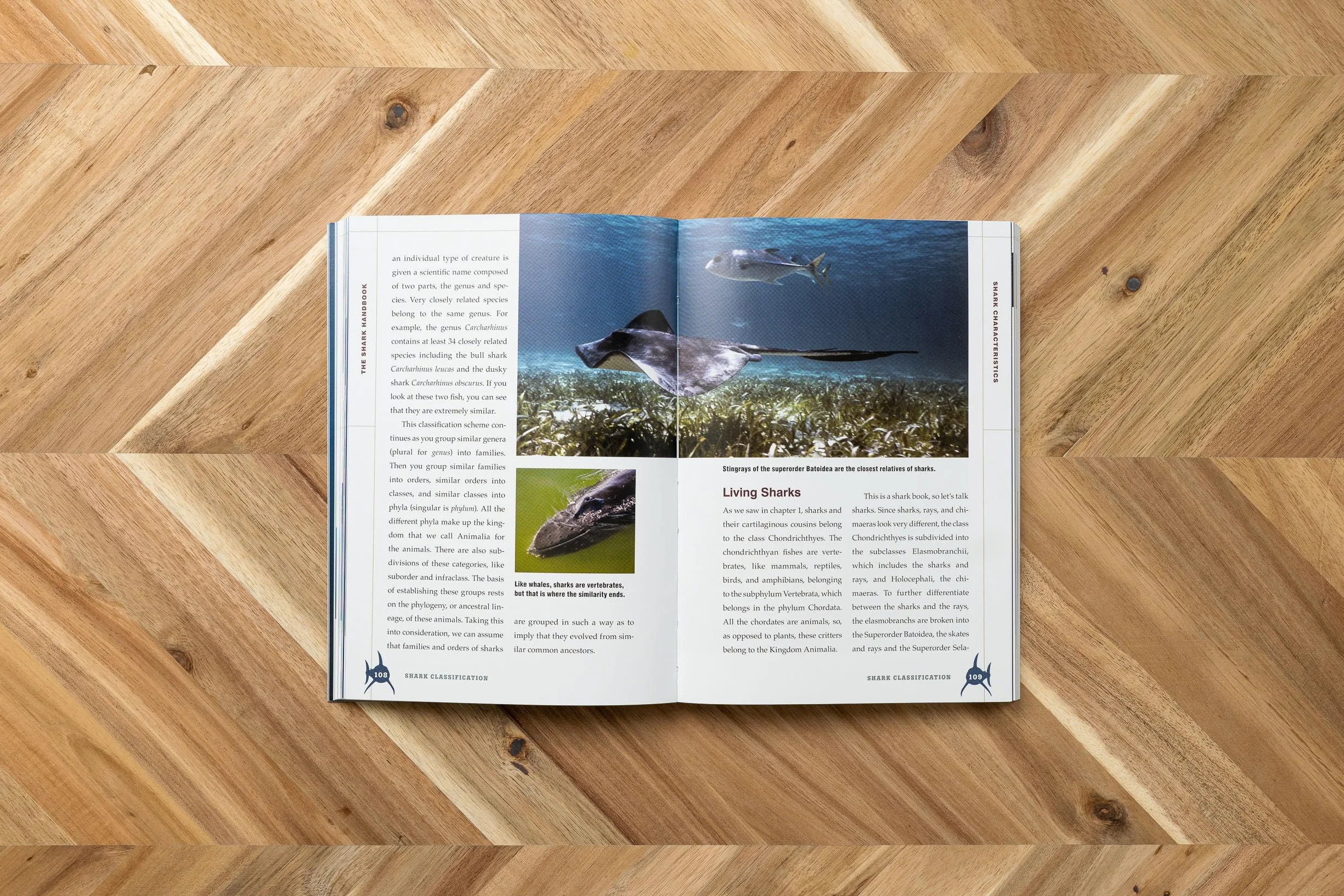 The Shark Handbook: Third Edition: The Essential Guide for Understanding the Sharks of the World