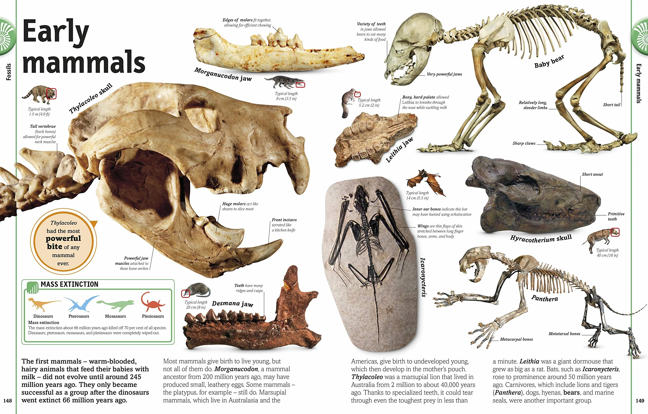 The Our World in Pictures: The Rock and Gem Book: ...And Other Treasures of the Natural World