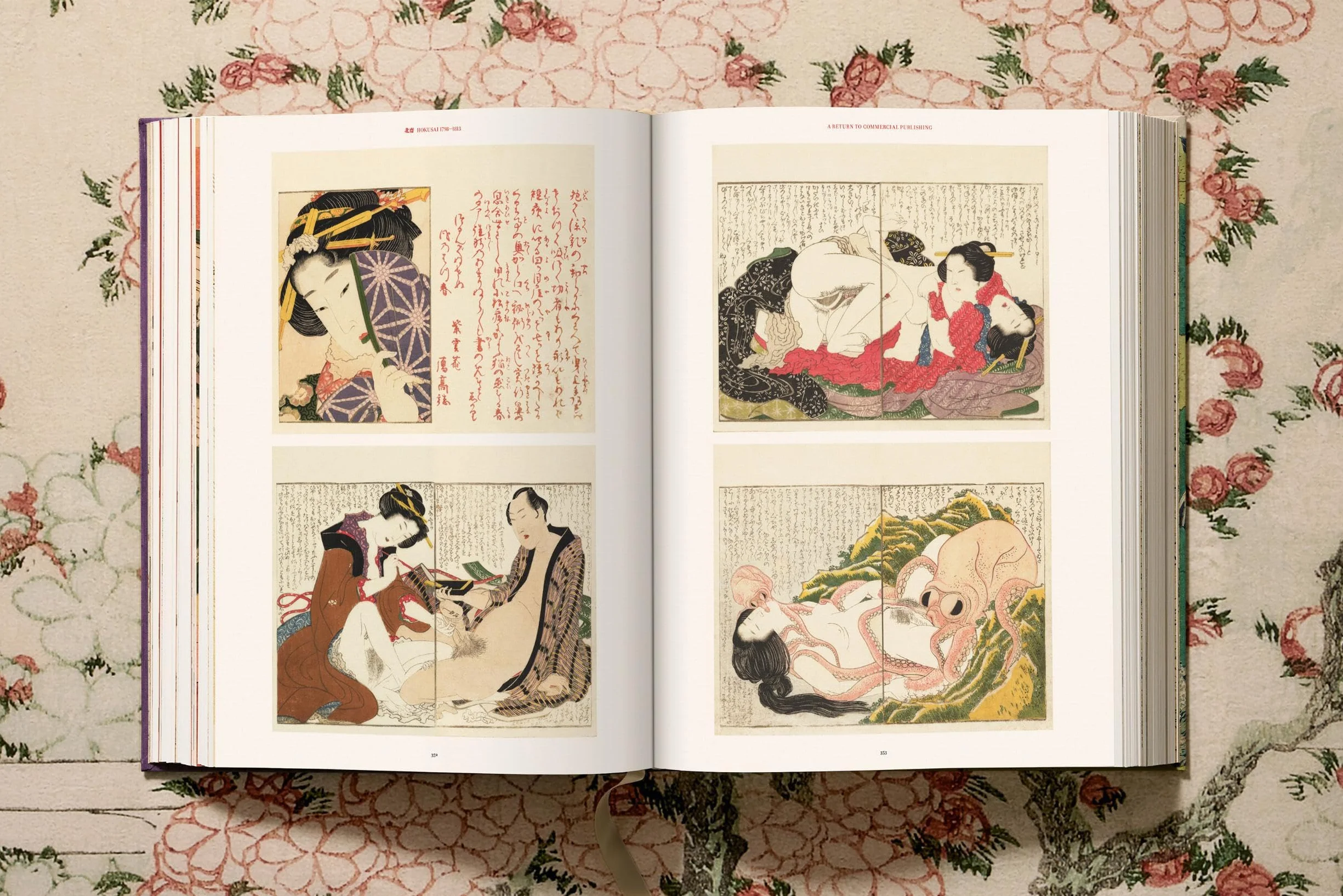The (almost) complete Hokusai