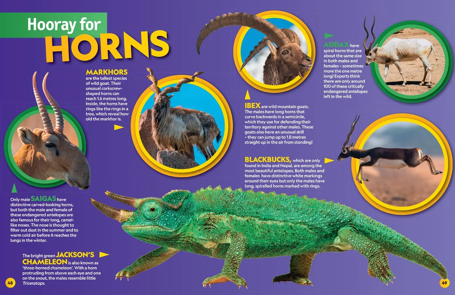Weird but true! 2023: Wild and wacky, record-breaking facts and photos you won’t believe! (2022 release)