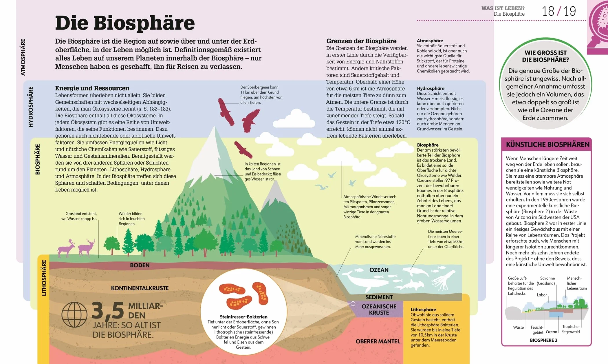 #dkinfografik. Biologie einfach erklärt: Genetik, Evolution, Ökologie. Leicht verständliche und visuell aufbereitete Einführung in die Biologie