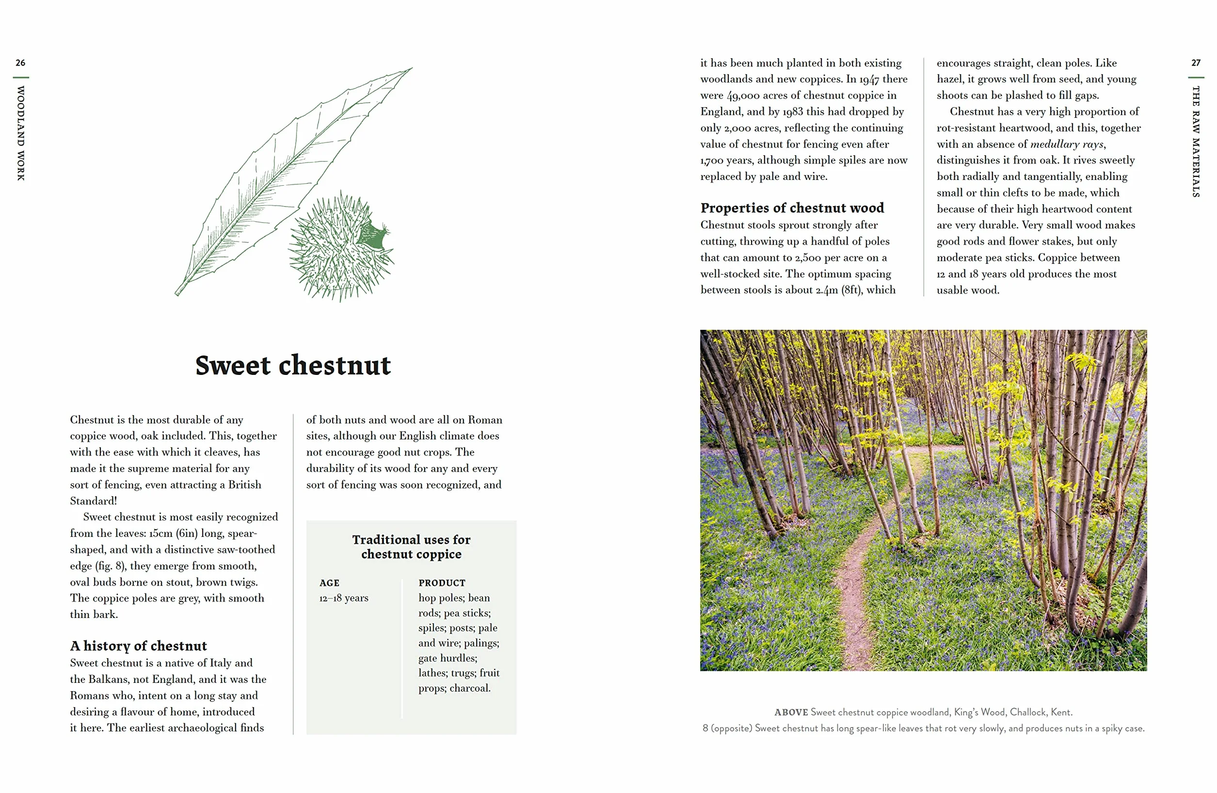 Traditional Woodland Crafts New Edition: A Practical Guide to Coppicing, Making, and Conservation