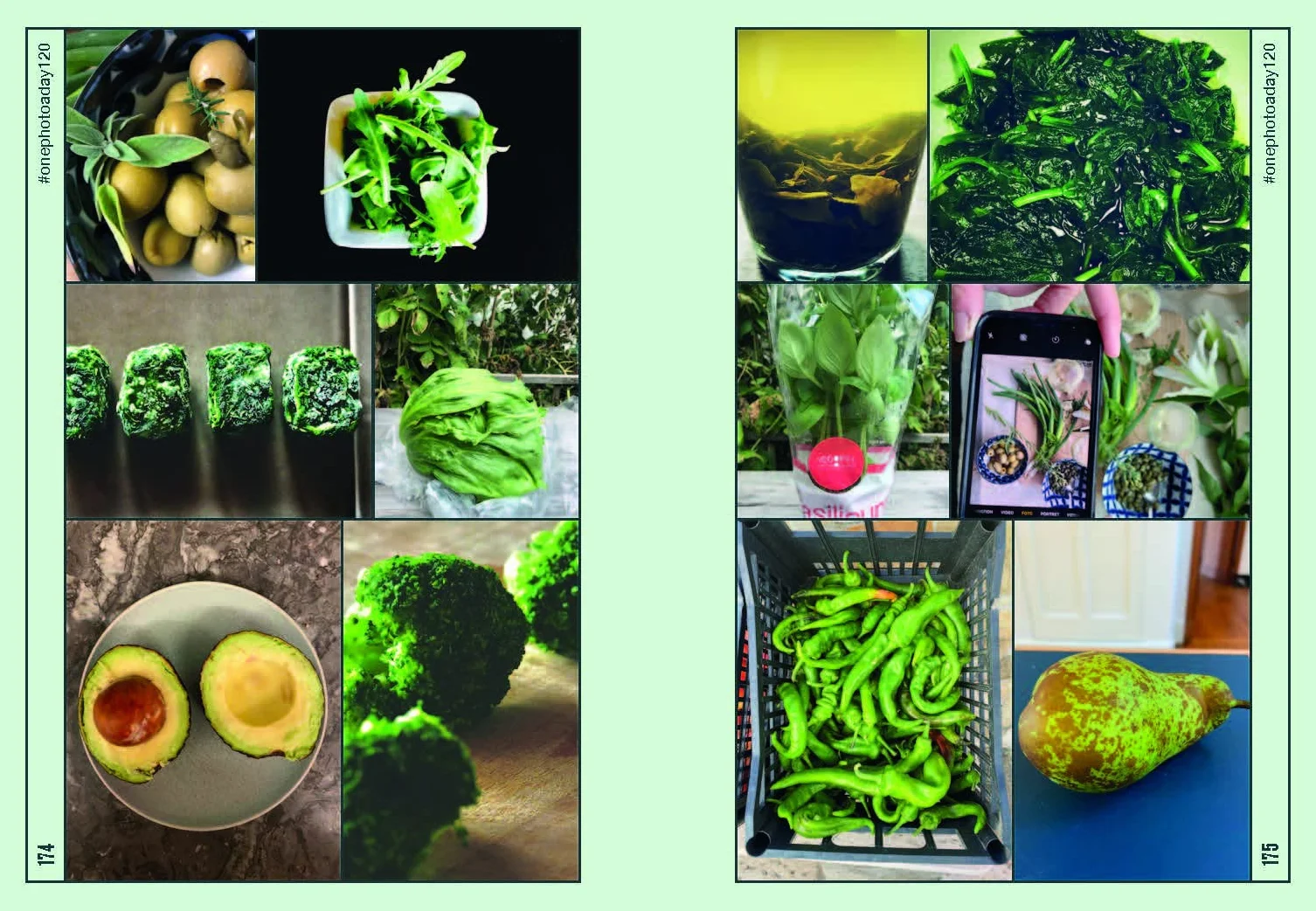 One Photo a Day Keeps the Doctor Away: Inspiring Ways to Slow Down and Look Around