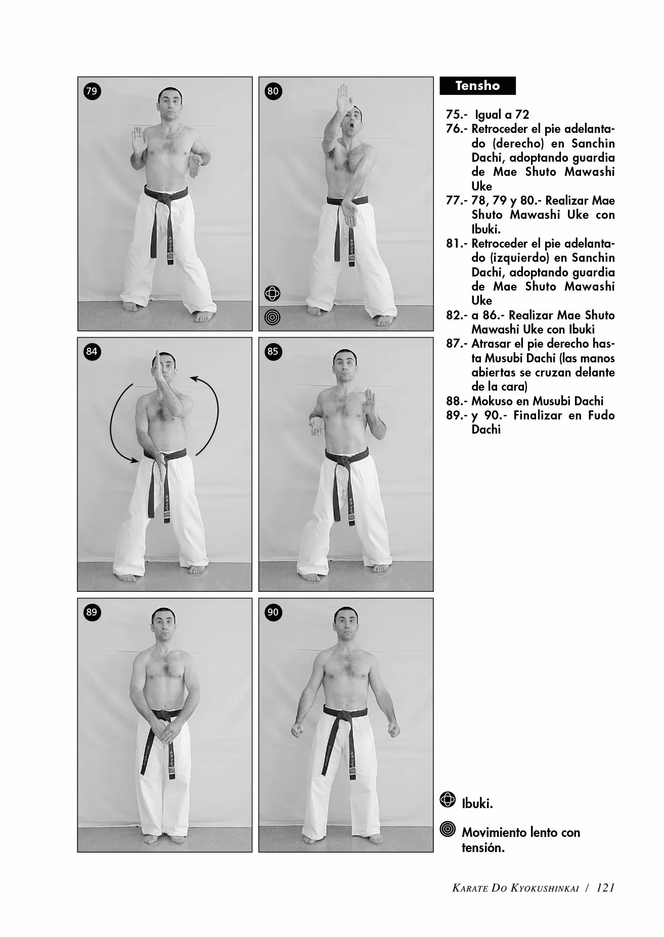 Karate do Kyokushinkai (Volumen 2º): Tecnica superior, kata, kumite y defensa personal