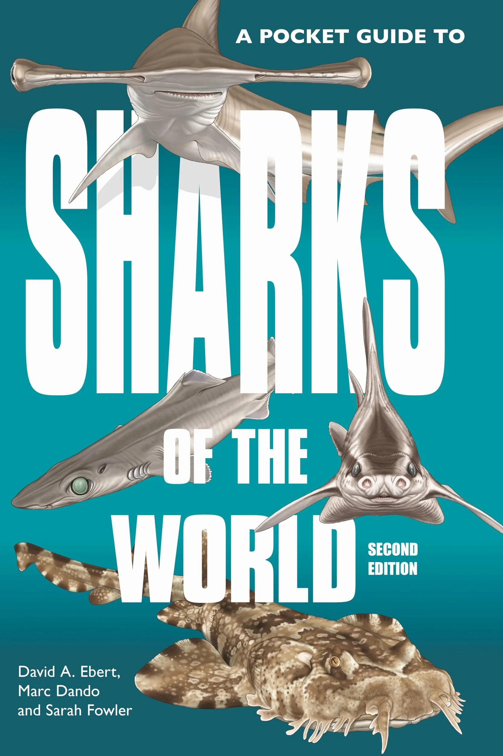 A Pocket Guide to Sharks of the World: Second Edition: 23