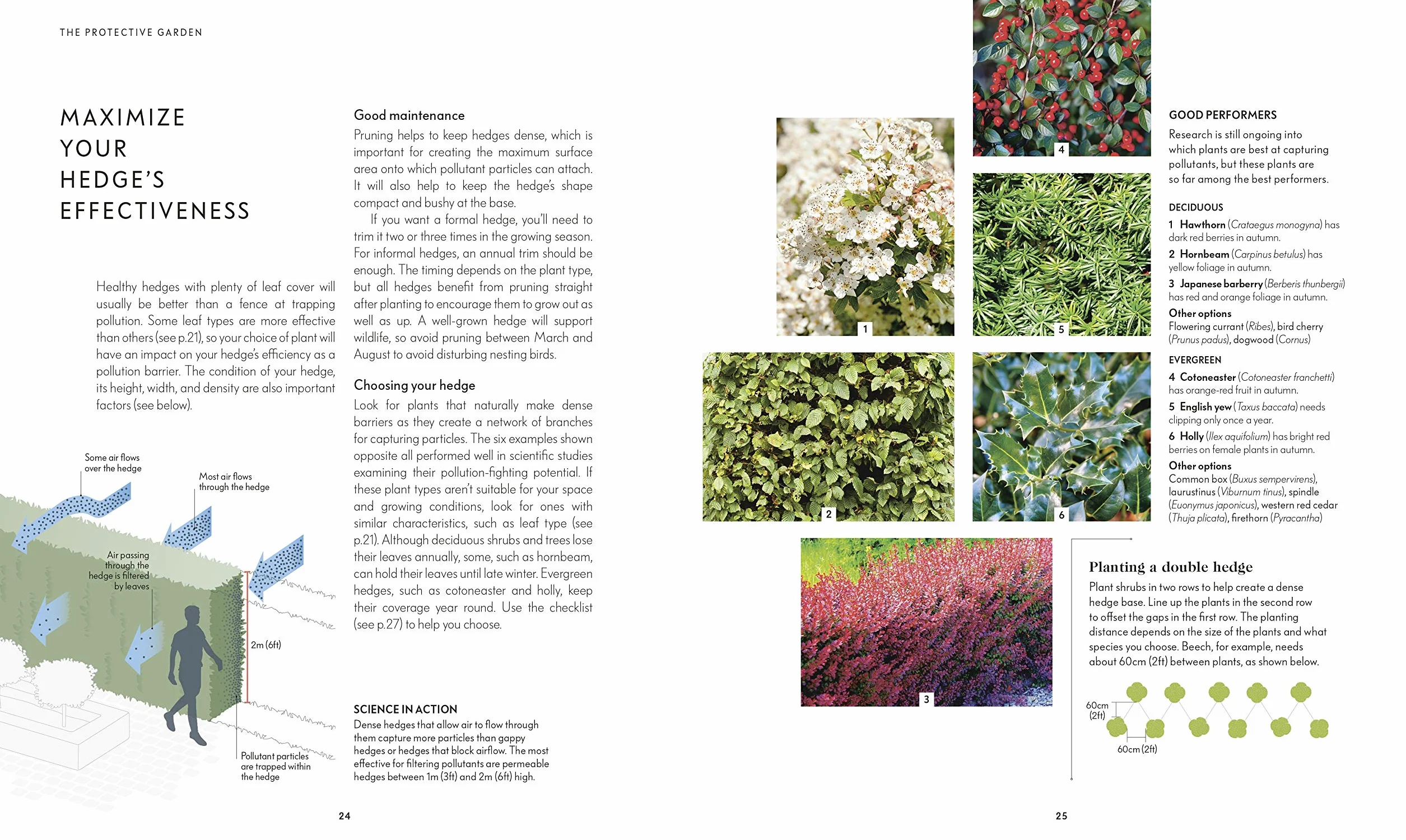 RHS Your Wellbeing Garden: How to Make Your Garden Good for You - Science, Design, Practice