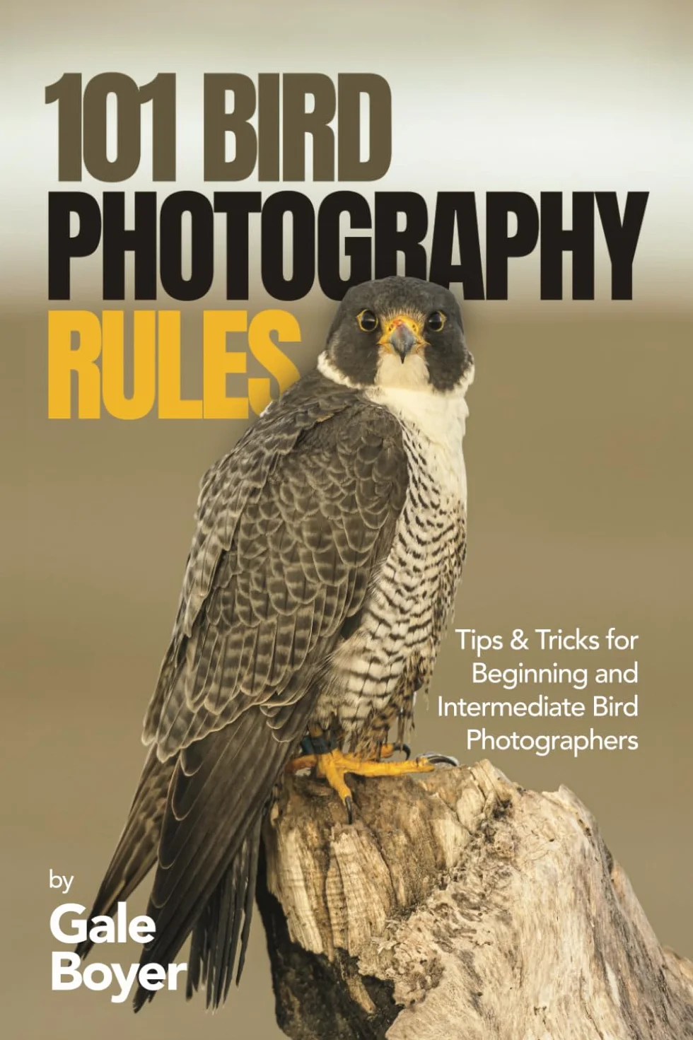 101 Bird Photography Rules: Tips & Tricks for Beginning and Intermediate Bird Photographers