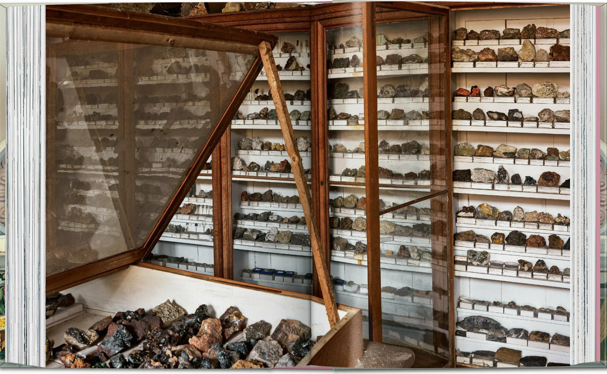 Massimo Listri: Cabinet of Curiosities: Cabinet of Curiosities. 45th Ed.