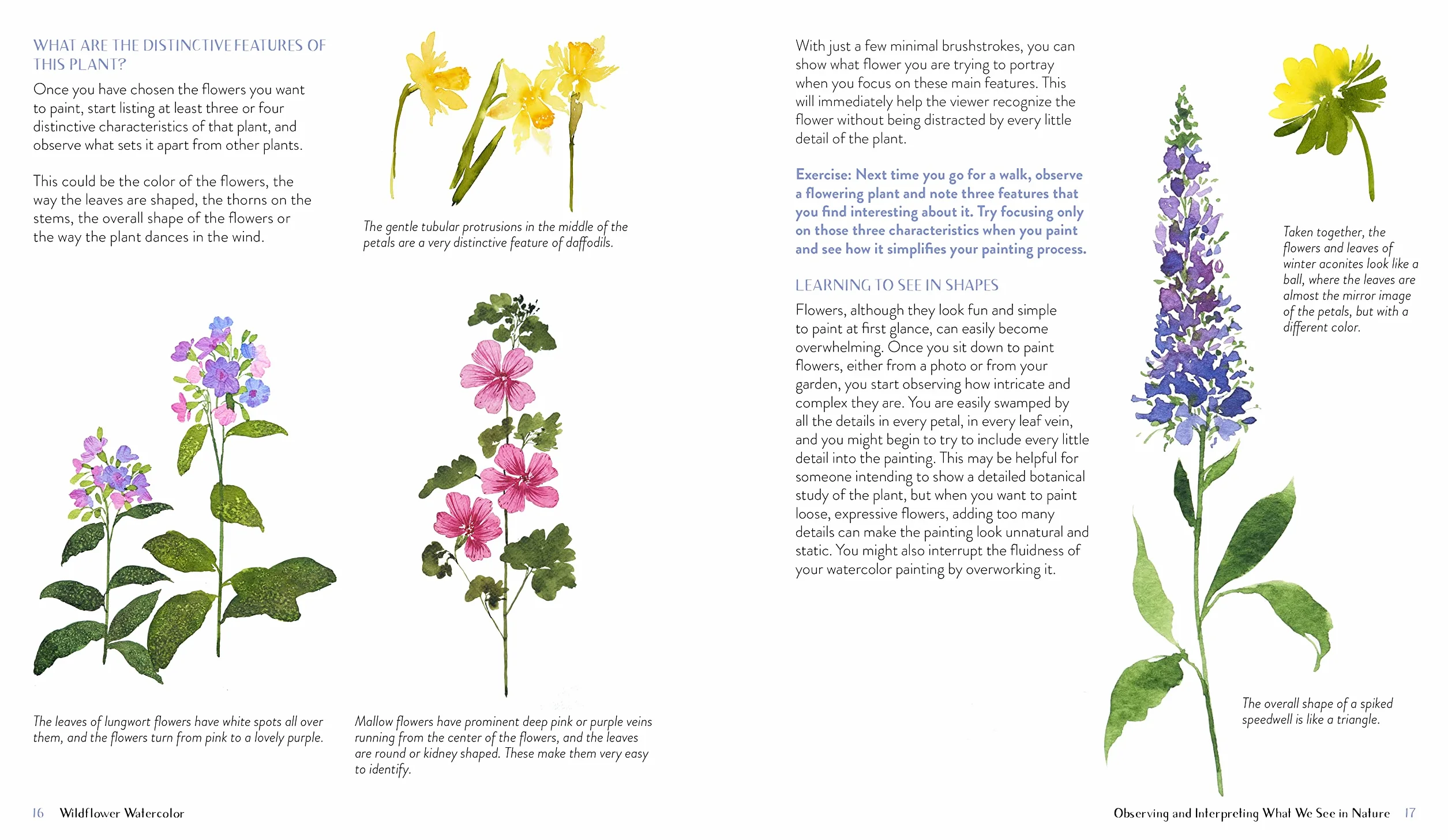 Wildflower Watercolor: The Beginner's Guide to Painting Beautiful Florals