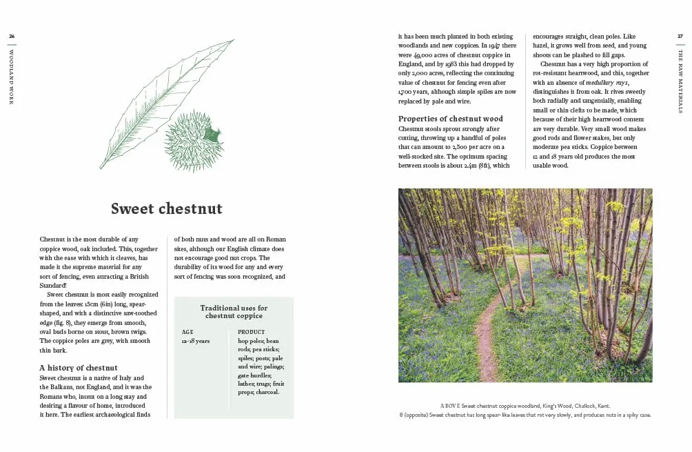 Traditional Woodland Crafts New Edition: A Practical Guide to Coppicing, Making, and Conservation