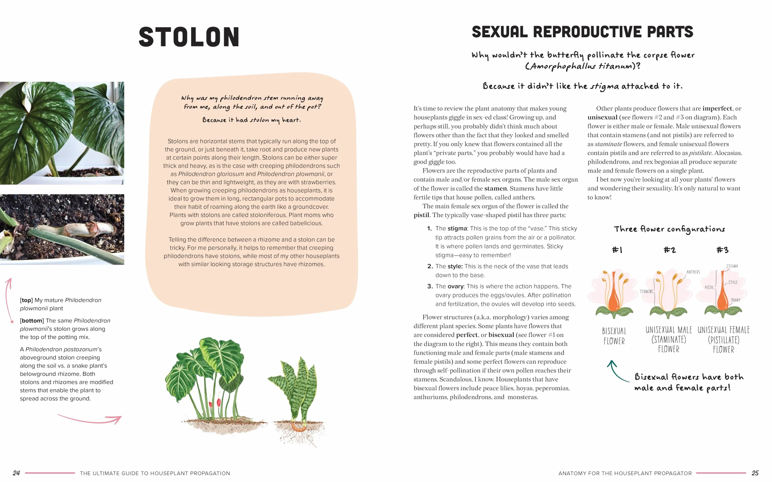 The Ultimate Guide to Houseplant Propagation: Step-By-Step Techniques for Making More Houseplants . . . for Free!