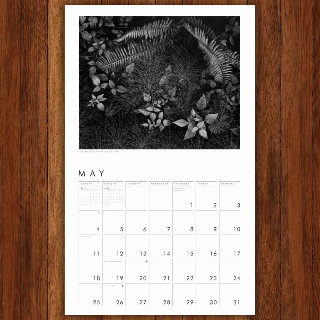 Ansel Adams 2025 Wall Calendar: Authorized Edition: 13-Month Nature Photography Collection (Monthly Calendar)