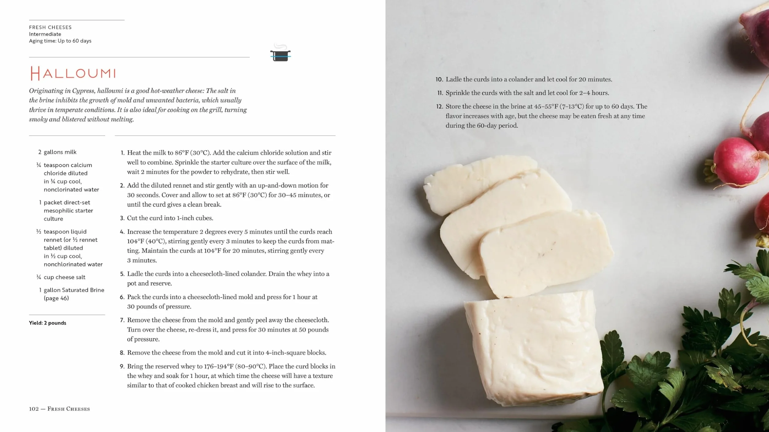 Home Cheese Making, 4th Edition: From Fresh and Soft to Firm, Blue, Goat's Milk, and More; Recipes for 100 Favorite Cheeses