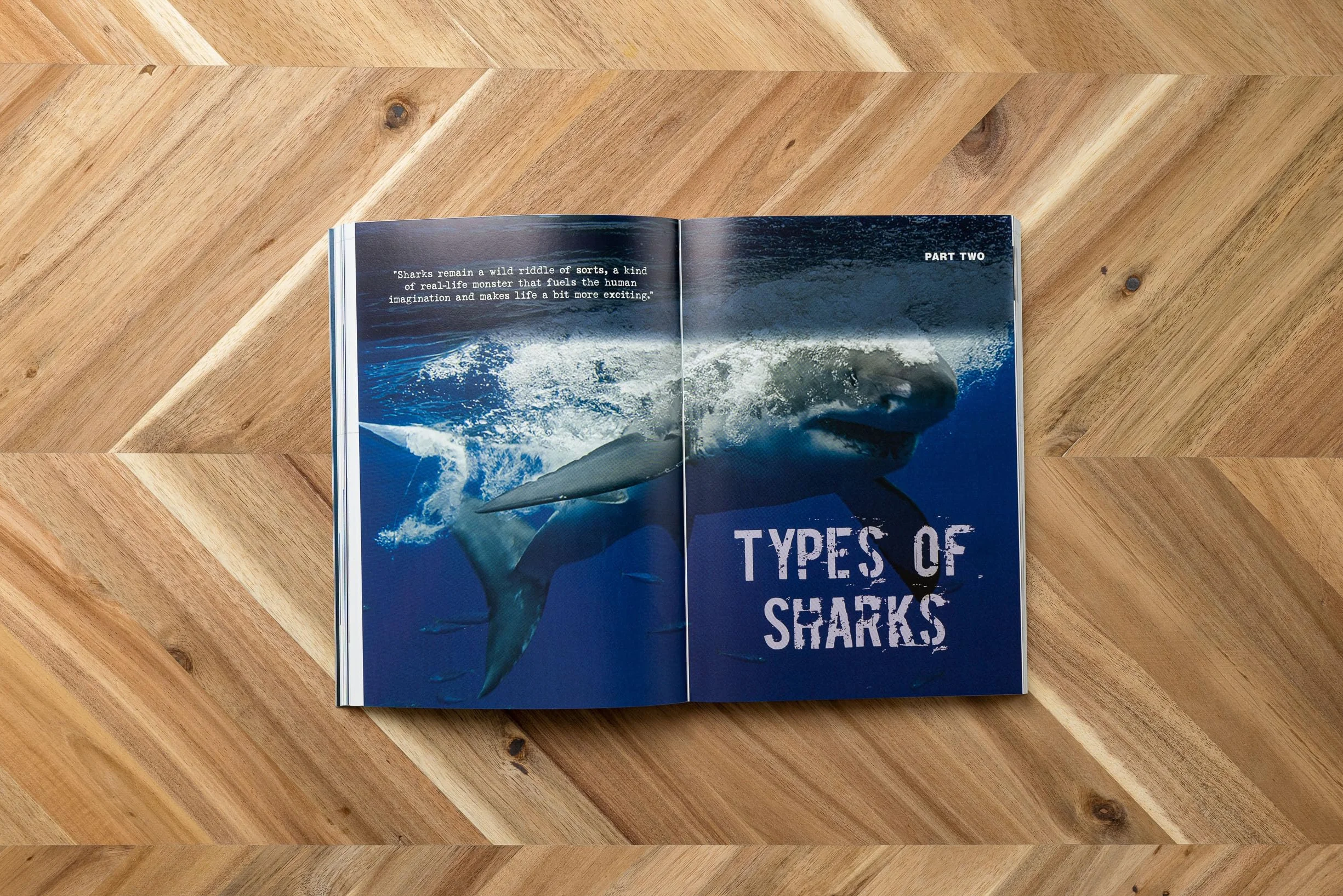 The Shark Handbook: Third Edition: The Essential Guide for Understanding the Sharks of the World