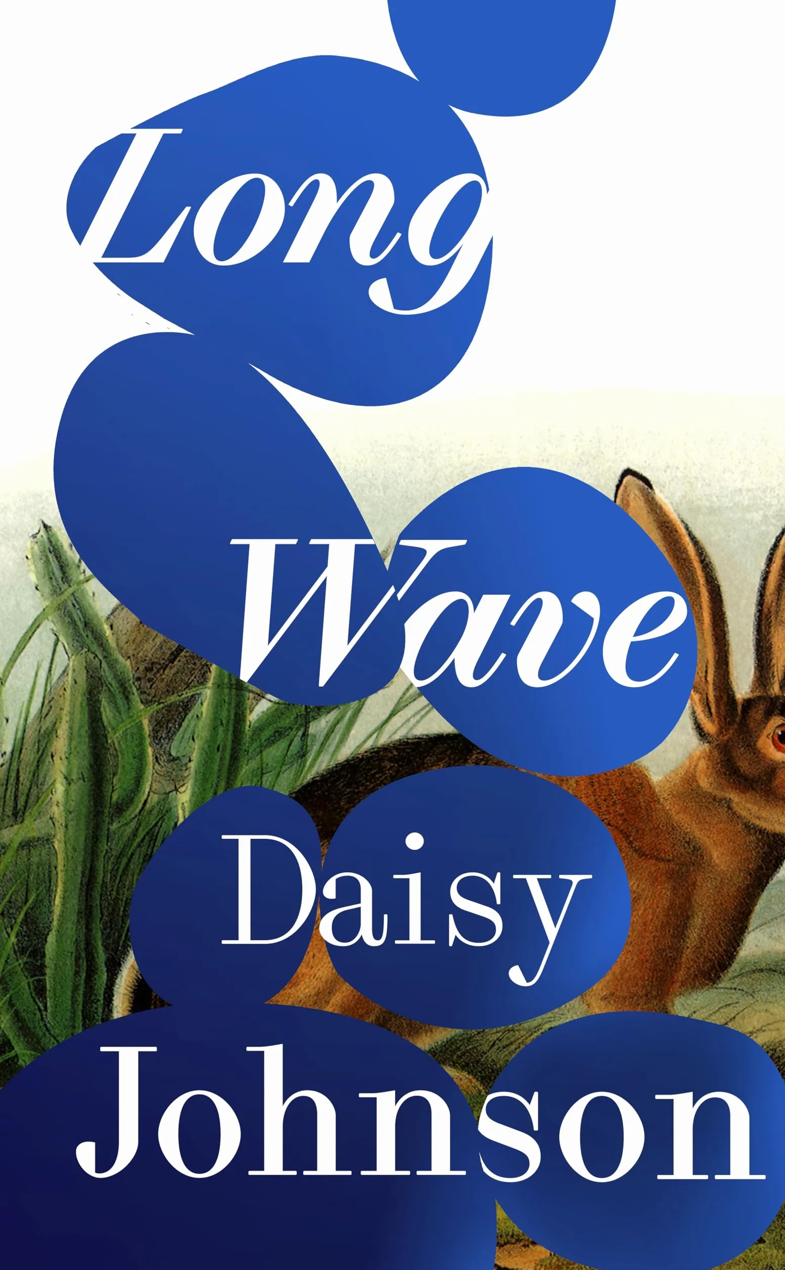 Long Wave: The extraordinary new novel from Booker Prize-shortlisted Daisy Johnson