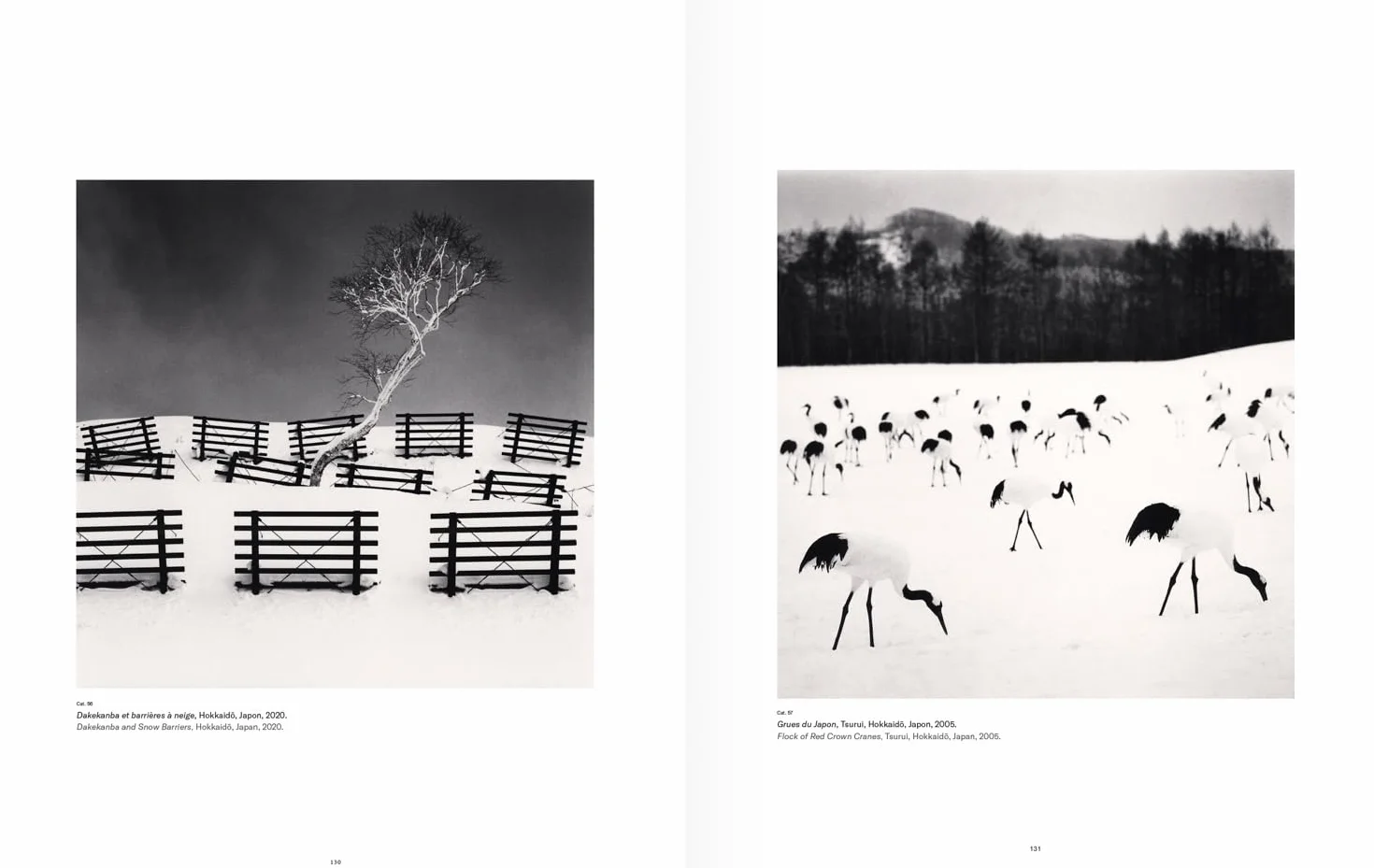 Haïkus d’argent: L'Asie photographiée par Michael Kenna: Asia Photographed