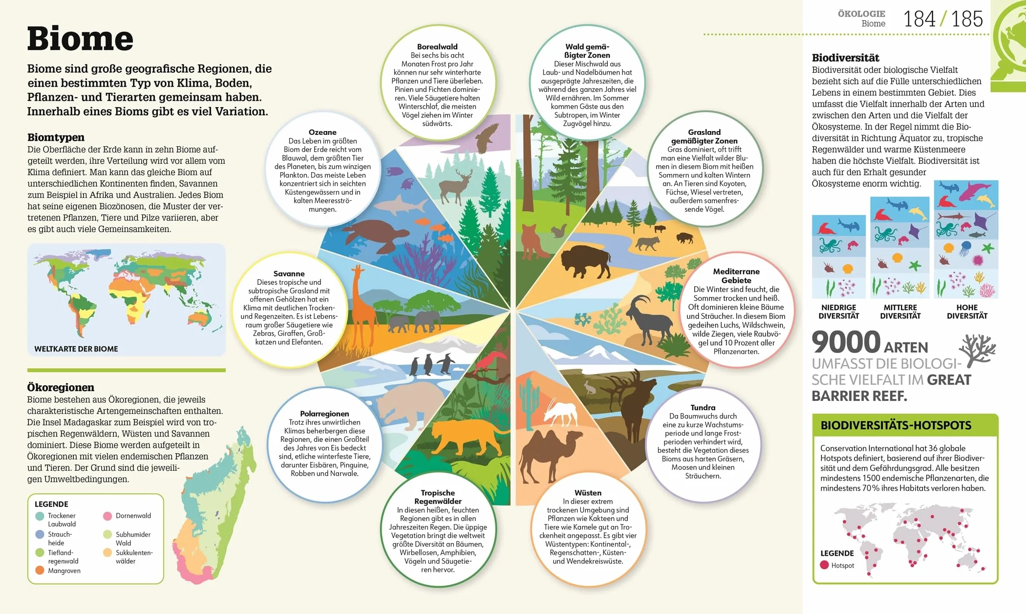 #dkinfografik. Biologie einfach erklärt: Genetik, Evolution, Ökologie. Leicht verständliche und visuell aufbereitete Einführung in die Biologie