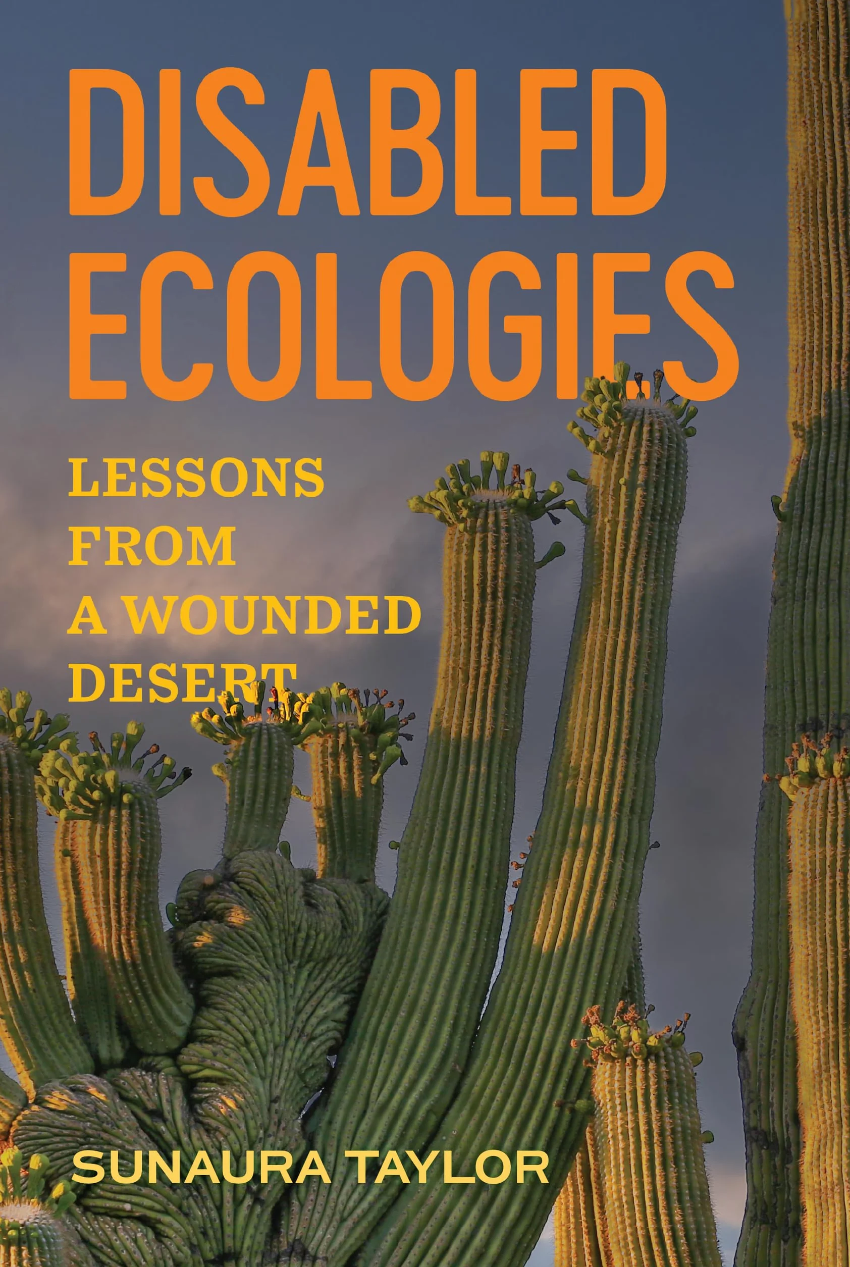 Disabled Ecologies: Lessons from a Wounded Desert