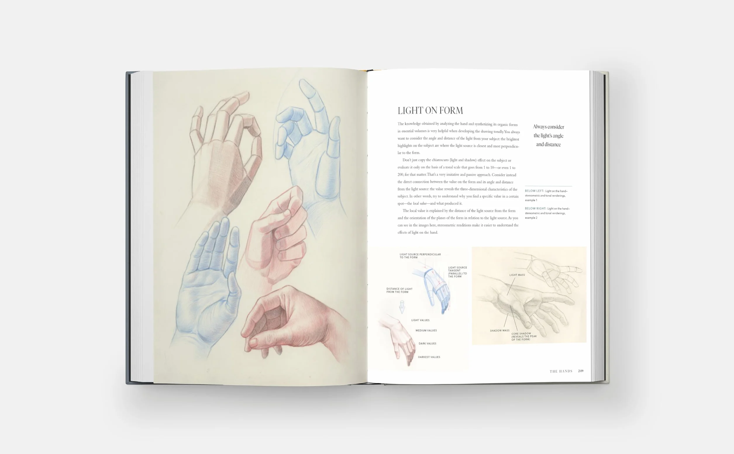 Dynamic Human Anatomy: An Artist's Guide to Structure, Gesture, and the Figure in Motion