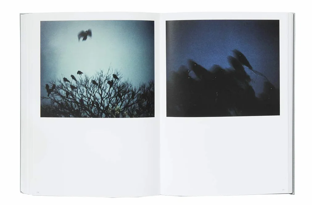 Masahisa Fukase -anglais-