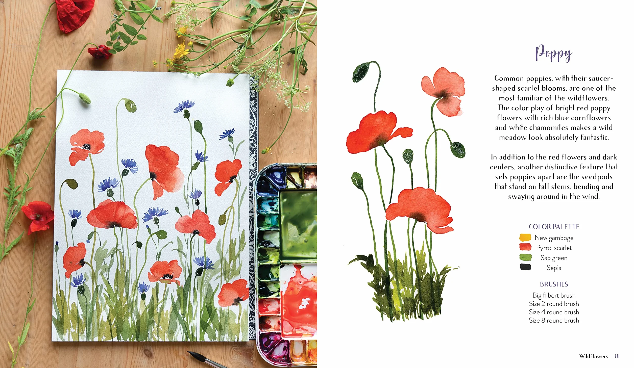 Wildflower Watercolor: The Beginner's Guide to Painting Beautiful Florals