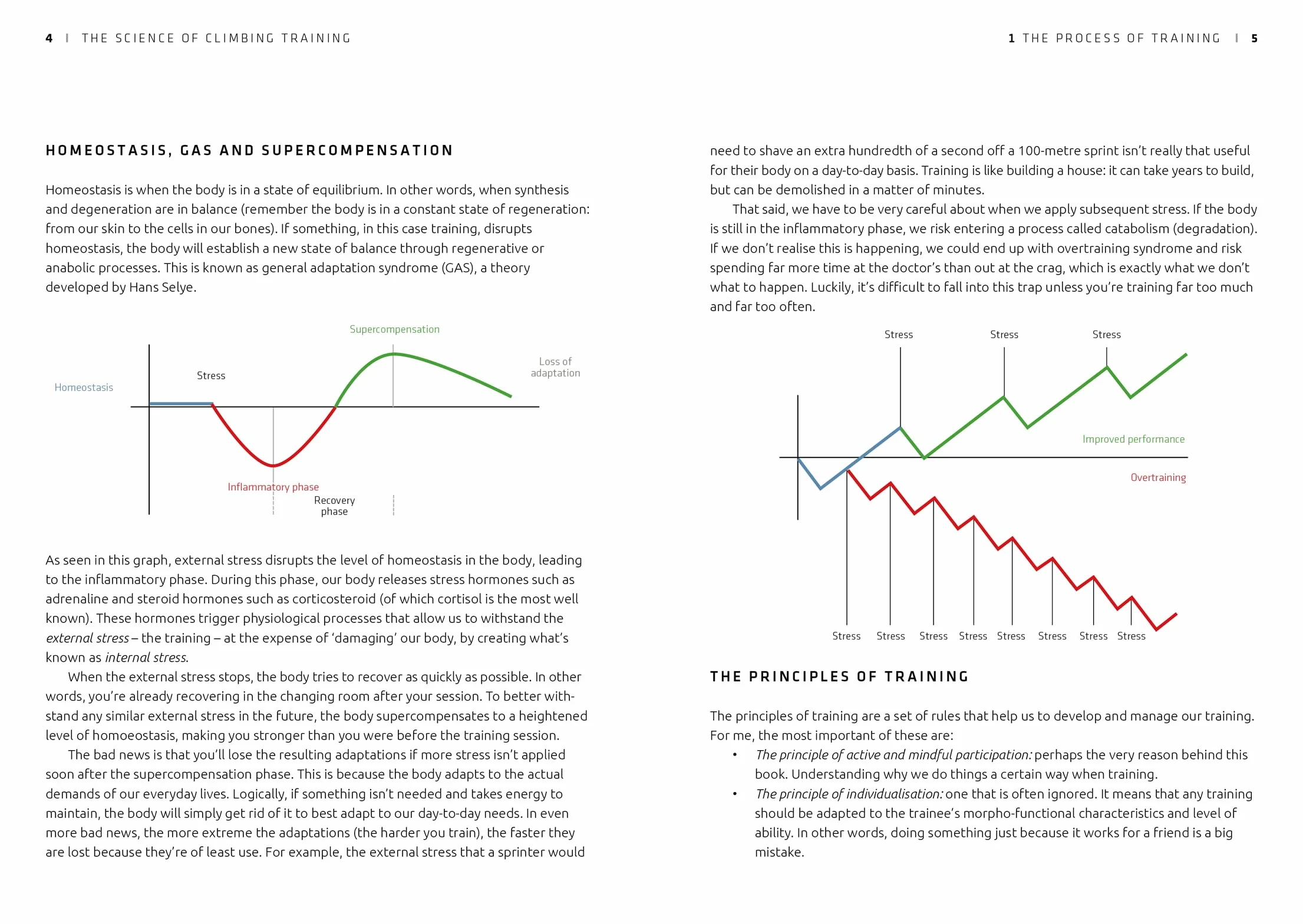 The Science of Climbing Training: An Evidence-Based Guide to Improving Your Climbing Performance