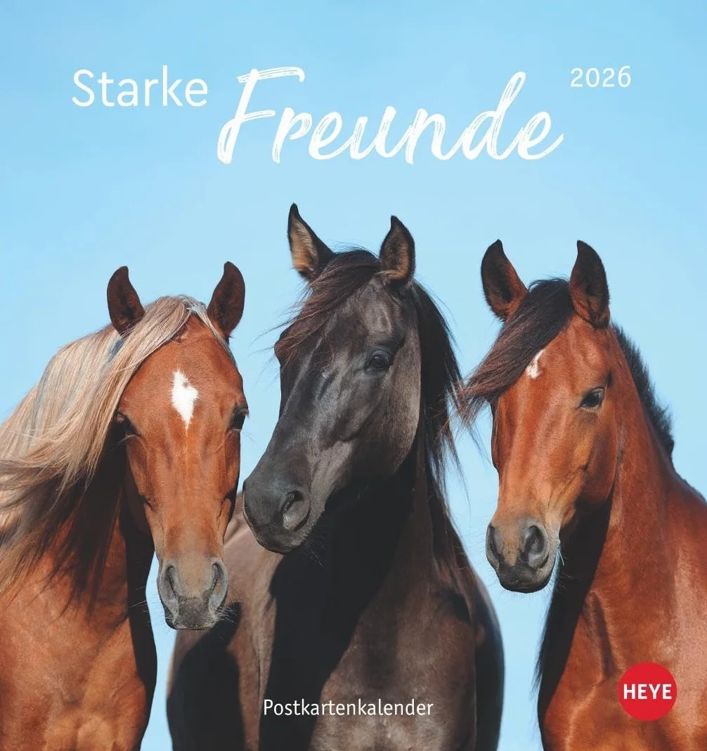 Pferde Postkartenkalender 2026 Starke Freunde Sabine Stuewer Fotokalender