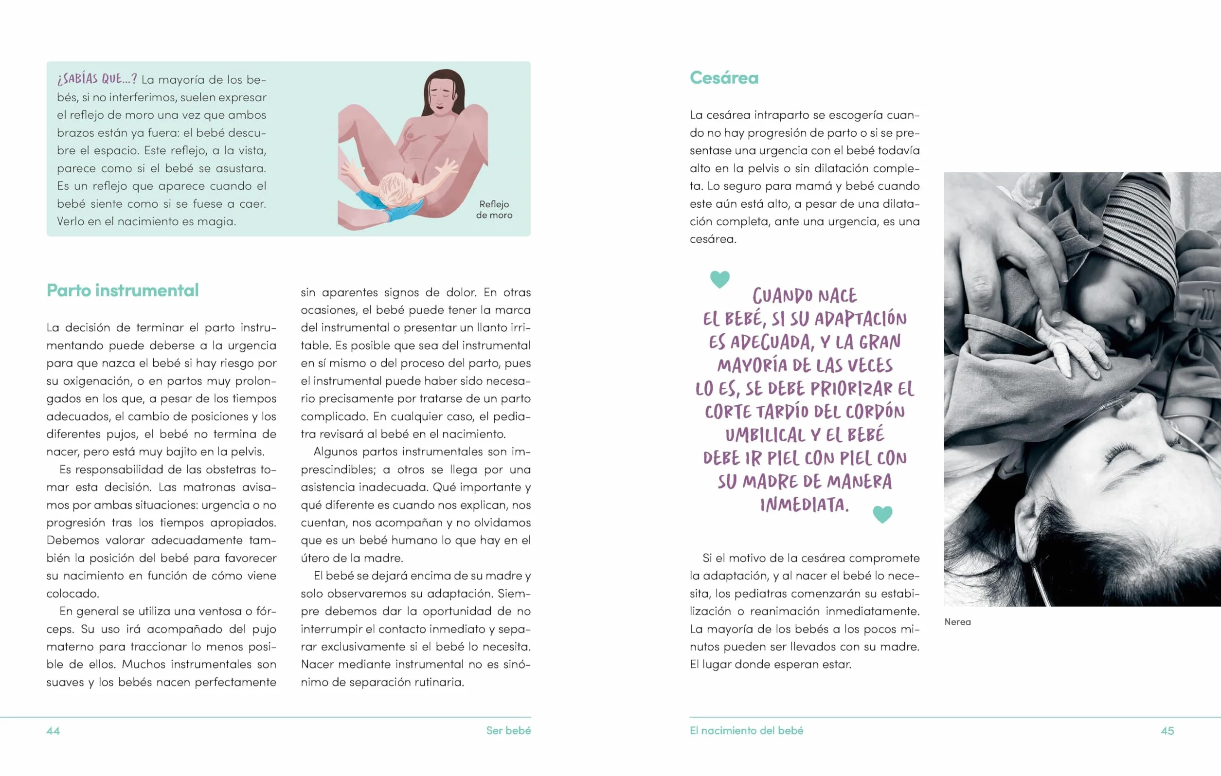 Ser Bebé Guía de Cuidados del Bebé Con Evidencia Y Mucha Emoción / Being a Baby: An Evidence-Based Care Guide