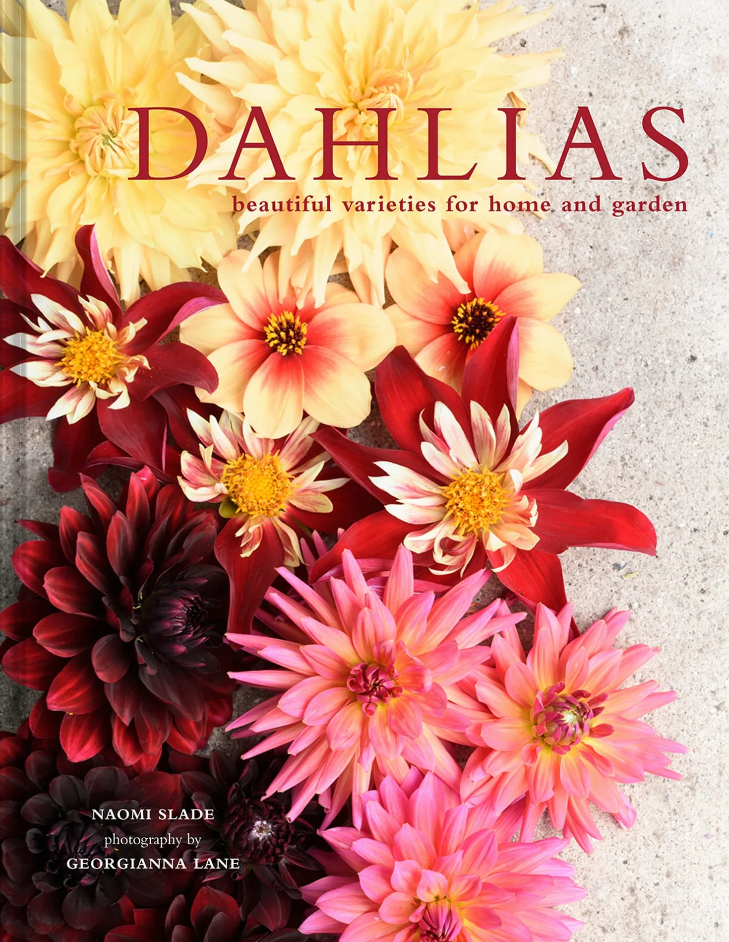Dahlias: The ultimate flower guide for growing, flowering and cutting varieties for the home and gardening