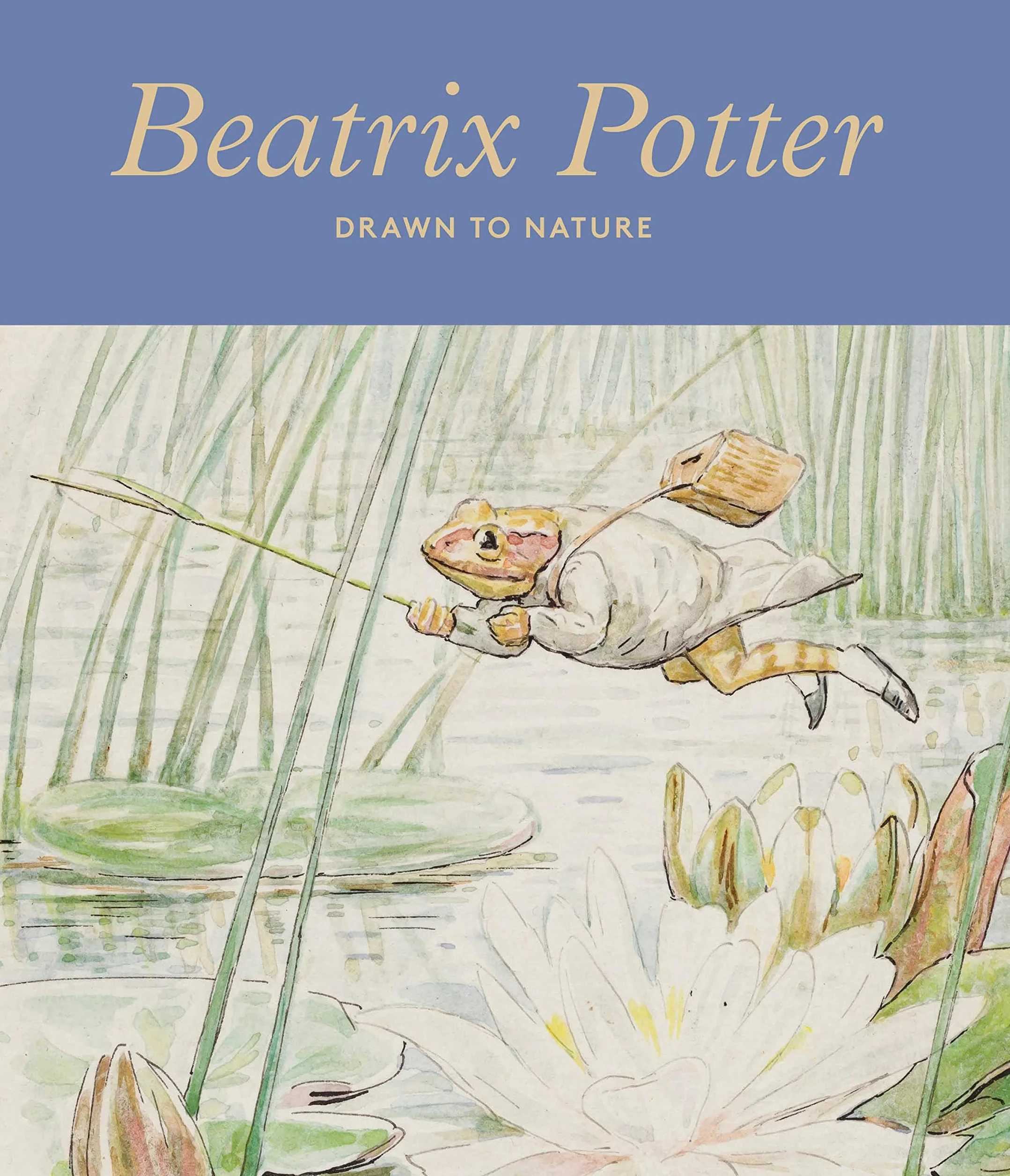 Beatrix Potter Drawn to Nature /anglais