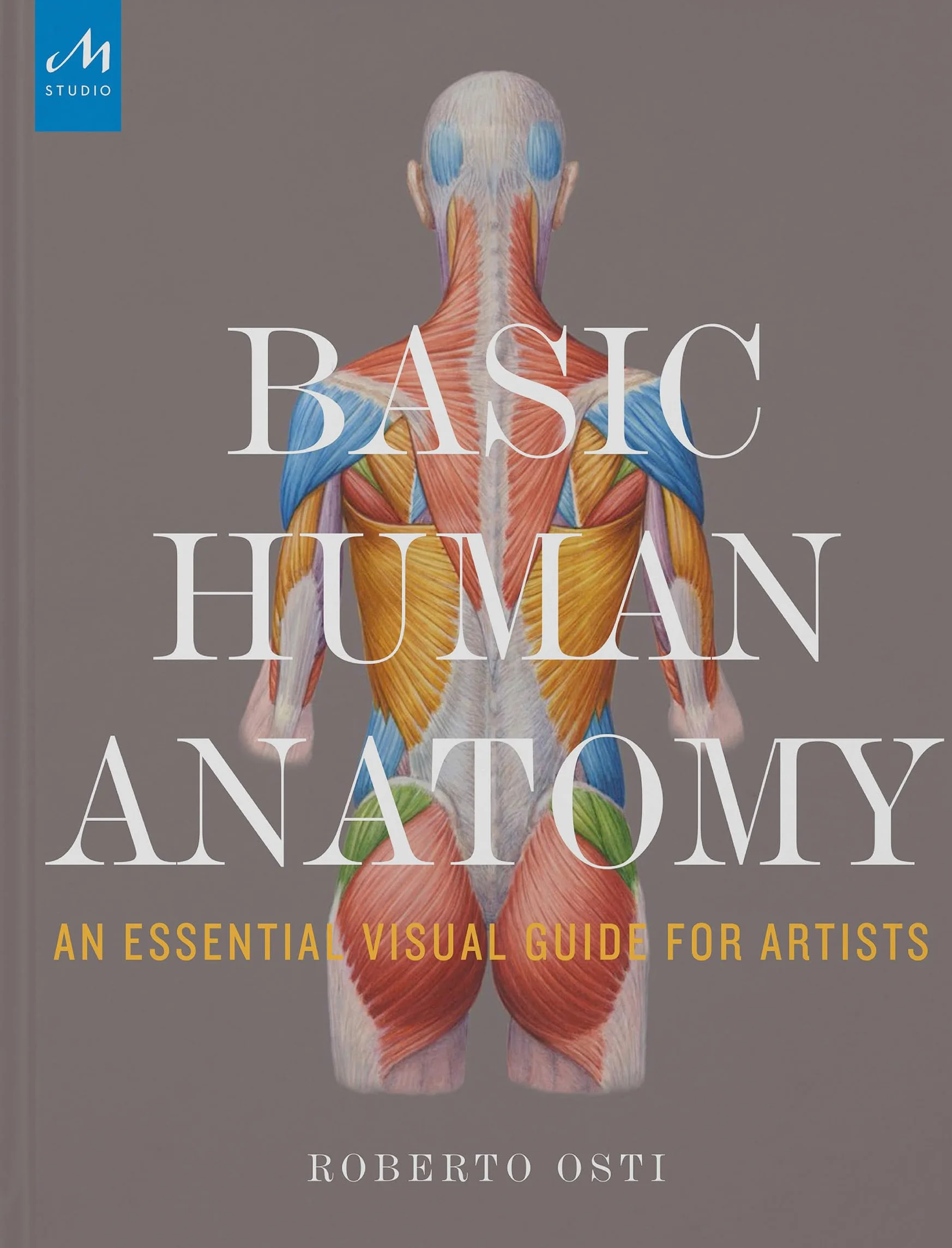 Basic Human Anatomy: An Essential Visual Guide for Artists
