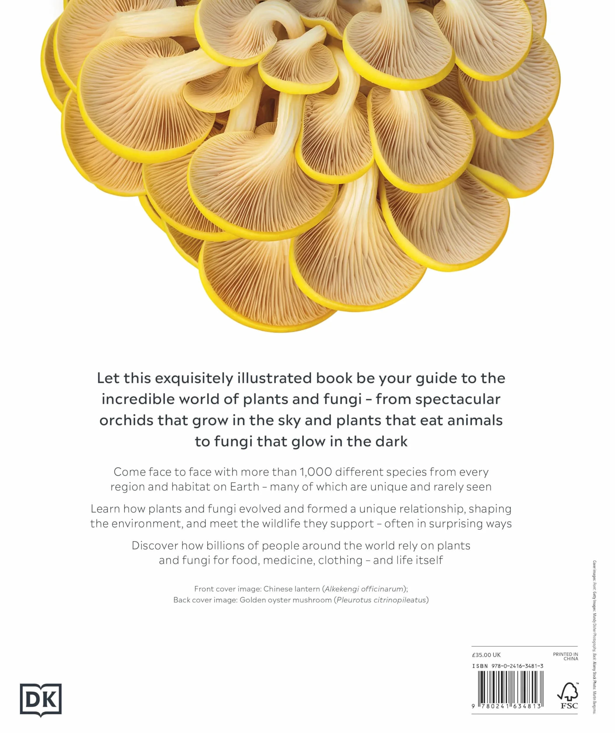 Plants and Fungi: The Definitive Visual Guide