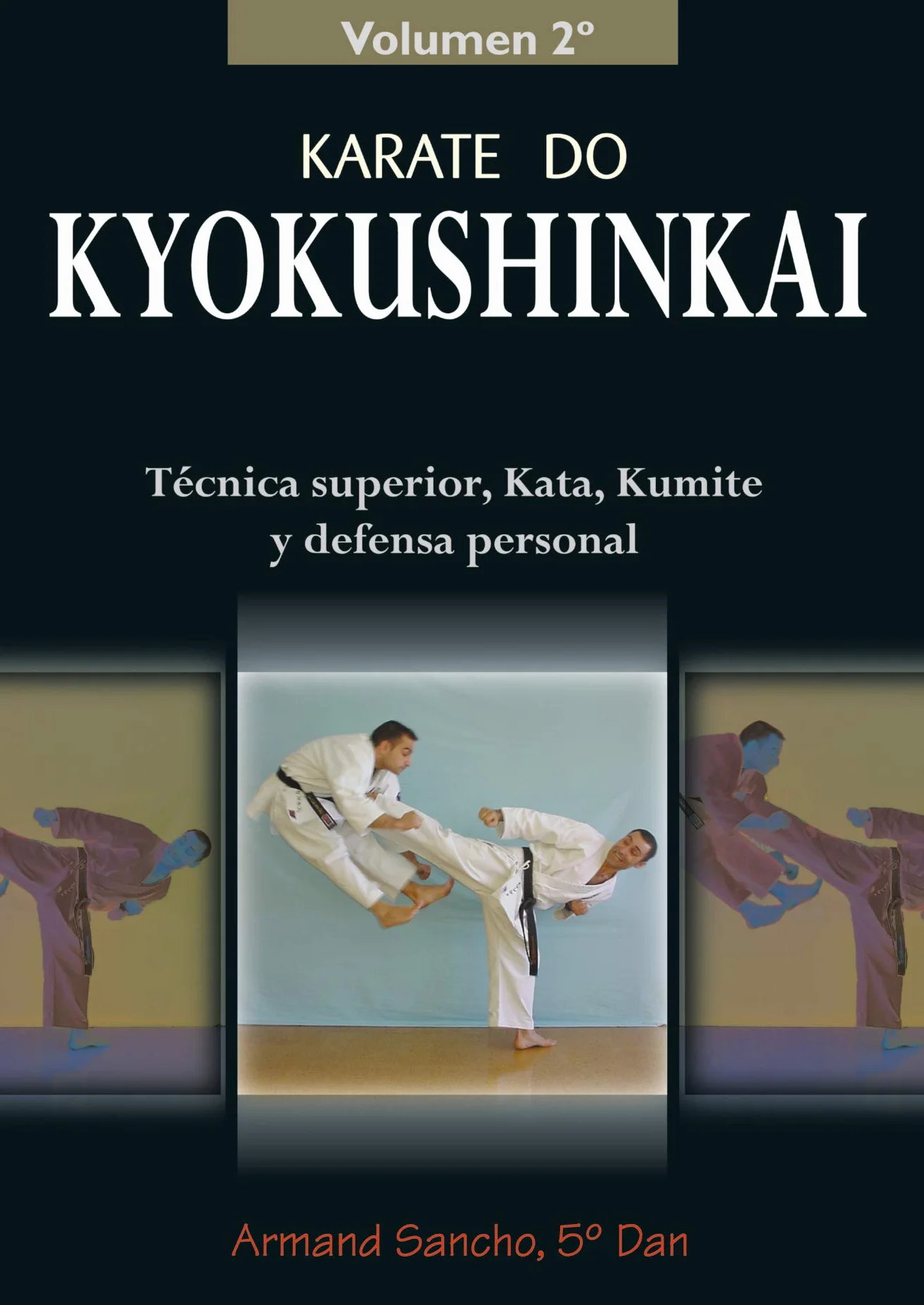 Karate do Kyokushinkai (Volumen 2º): Tecnica superior, kata, kumite y defensa personal
