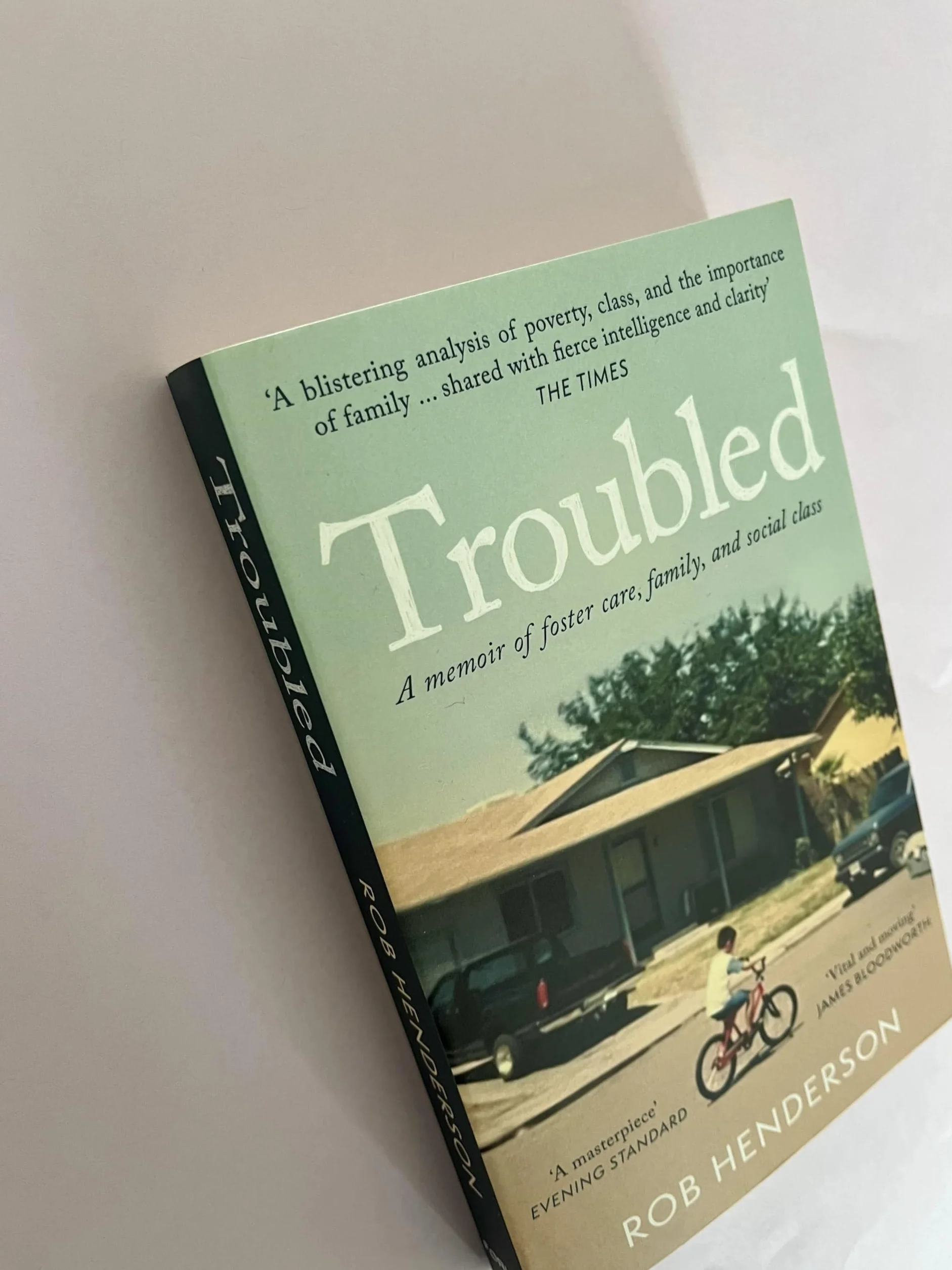 Troubled: A Memoir of Foster Care, Family, and Social Class